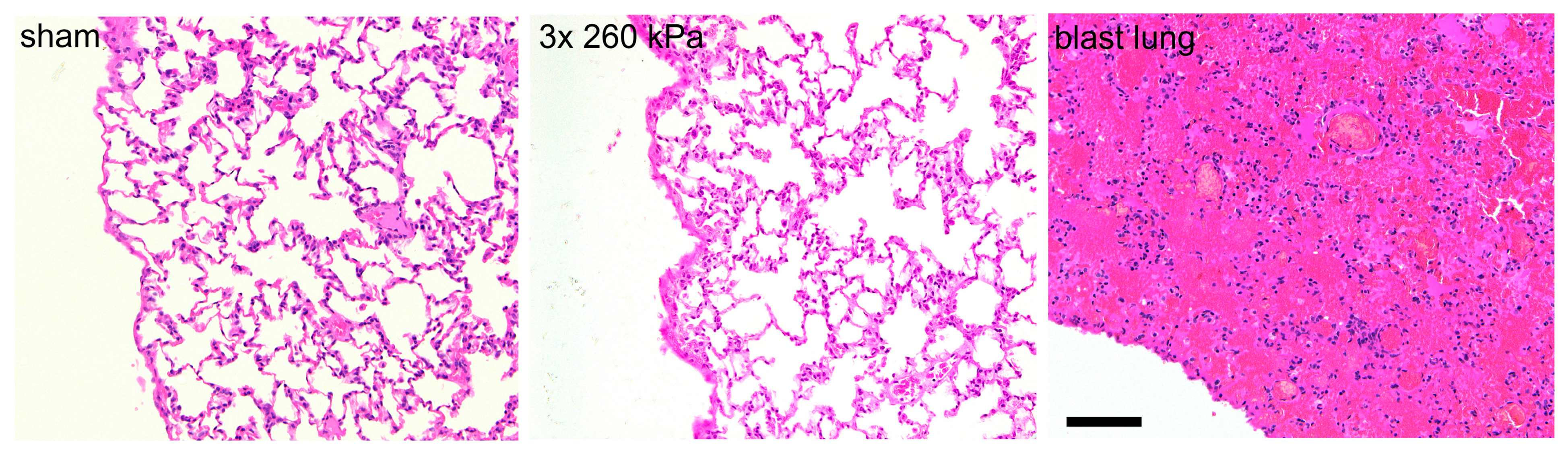 Brainsci 13 01298 g005