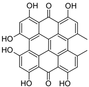 Brainsci 13 01299 i004 Brainsci 13 01299 i004