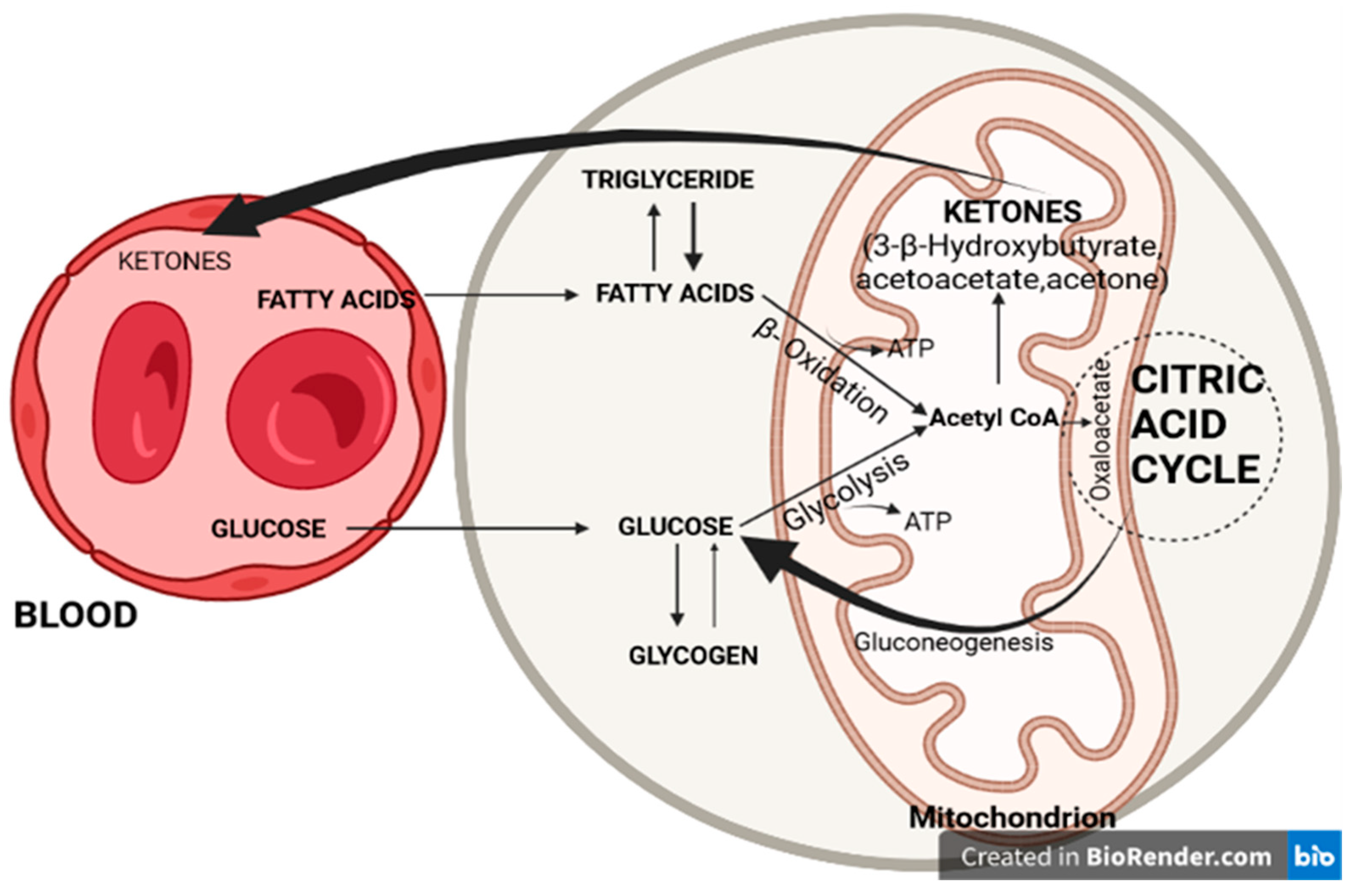 Brainsci 13 01307 g001