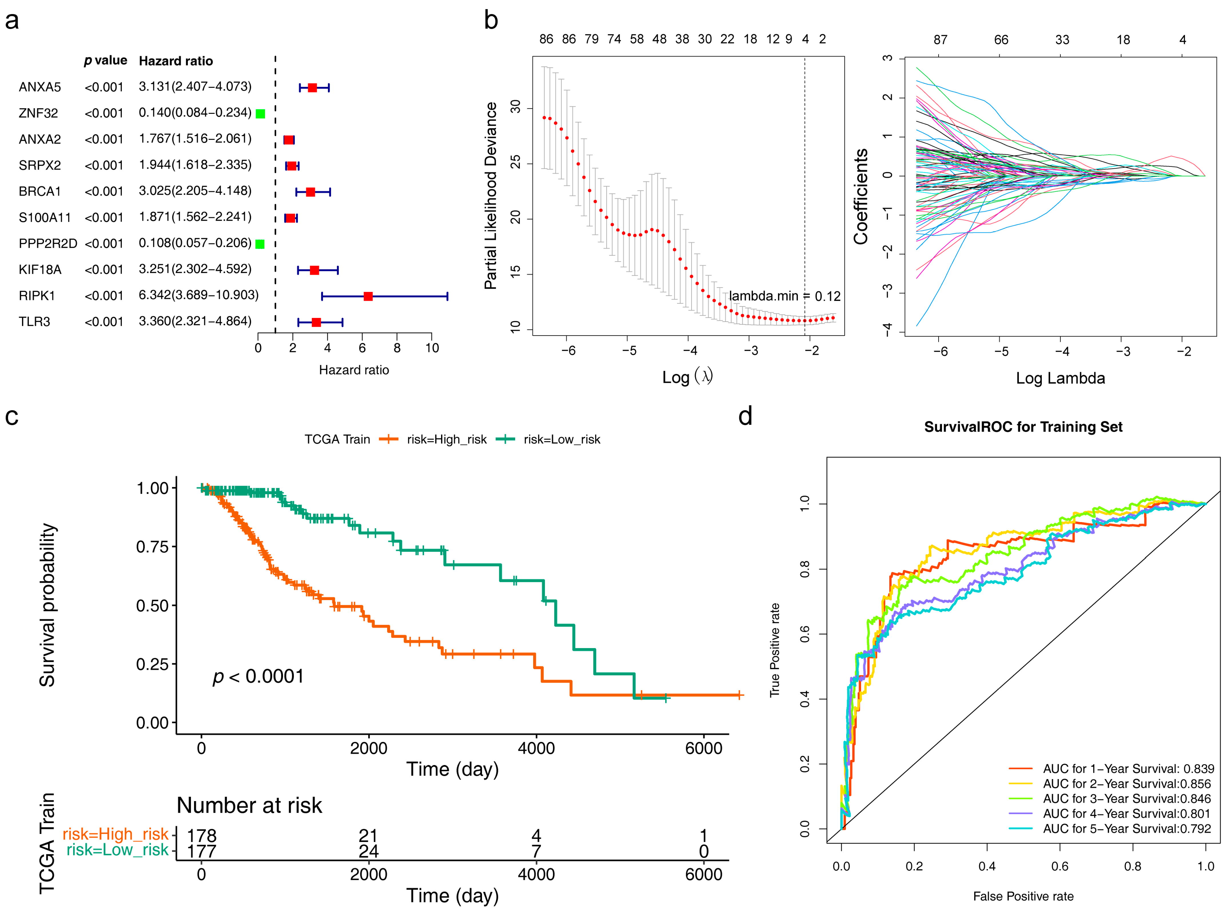 Brainsci 13 01311 g003