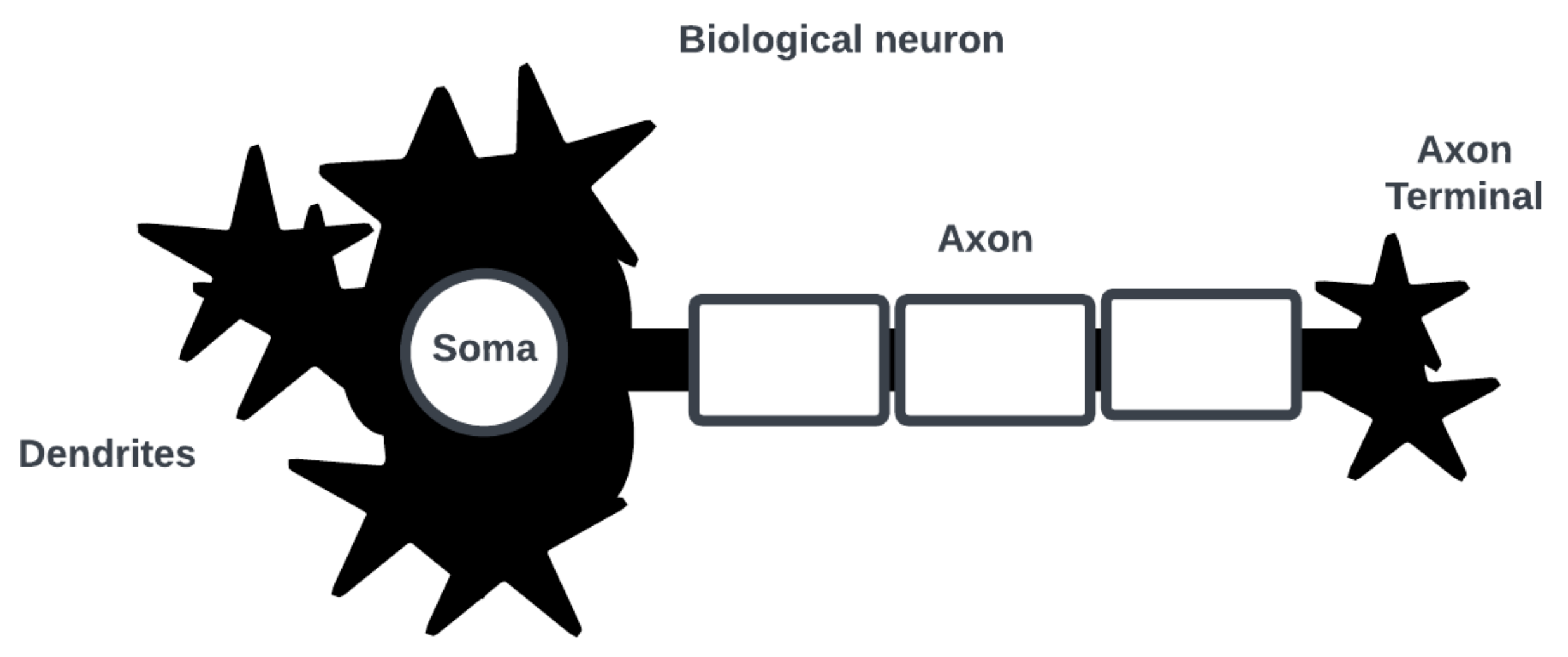 Silicon retinas to help robots navigate the world - Advanced Science News