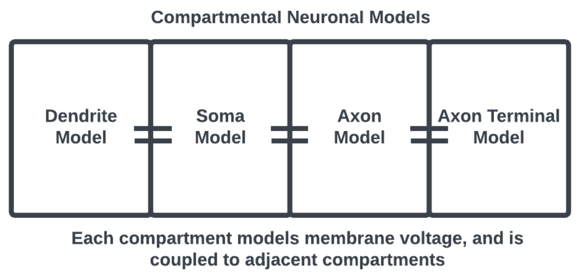 Brainsci 13 01316 g002
