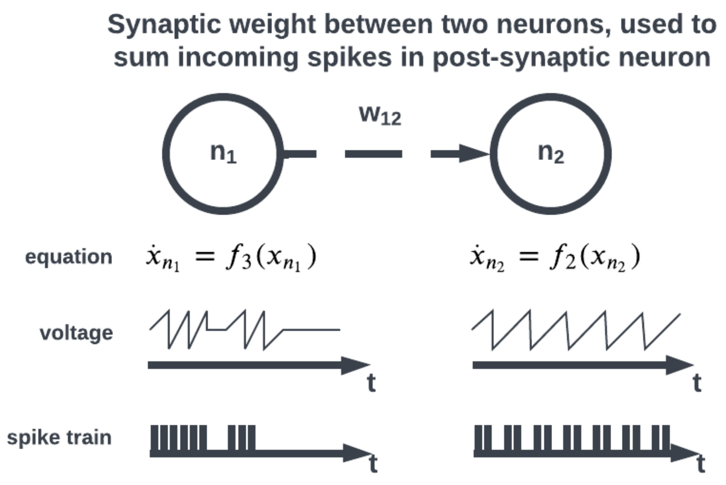 Brainsci 13 01316 g004