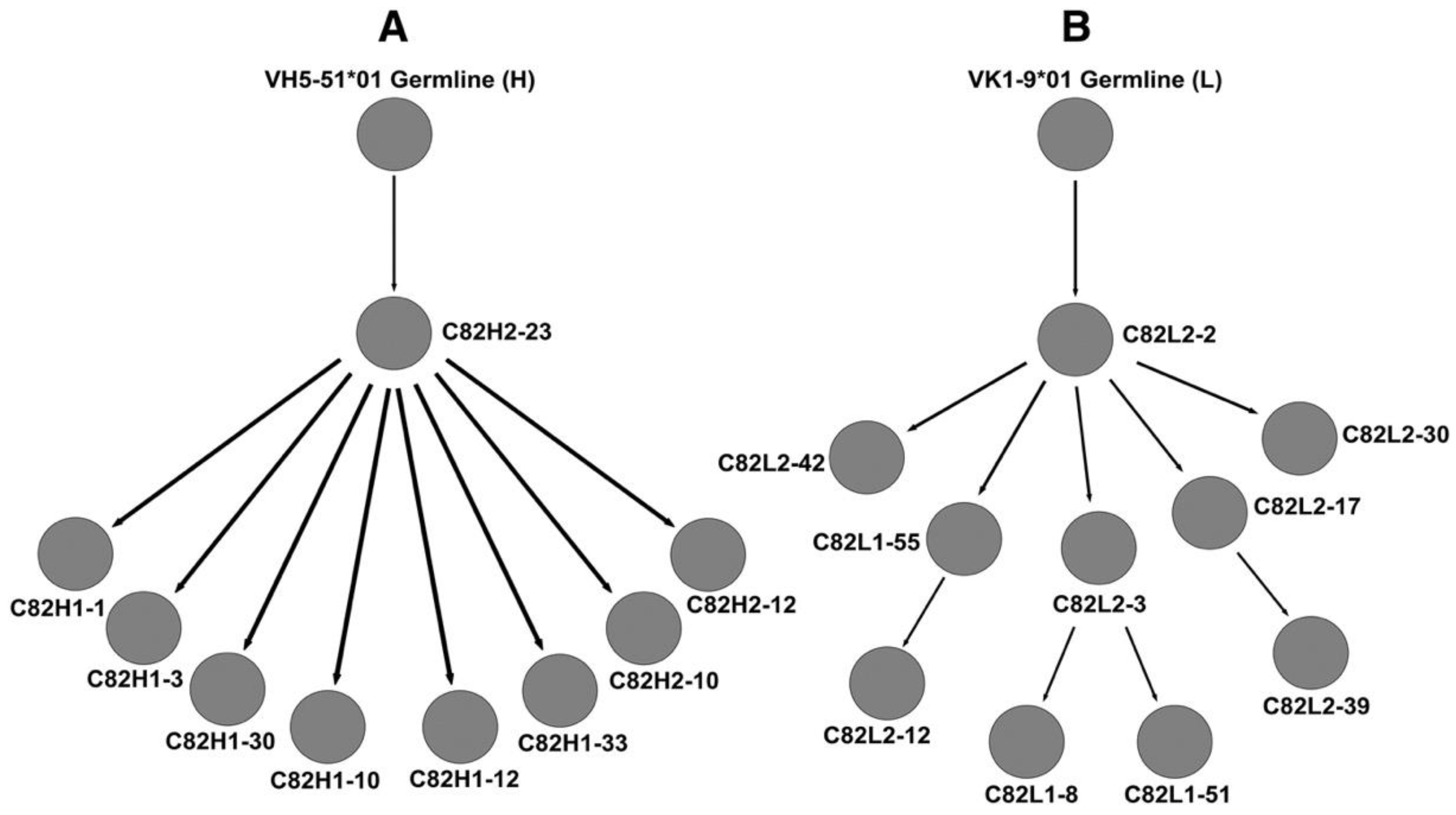 Brainsci 13 01336 g002