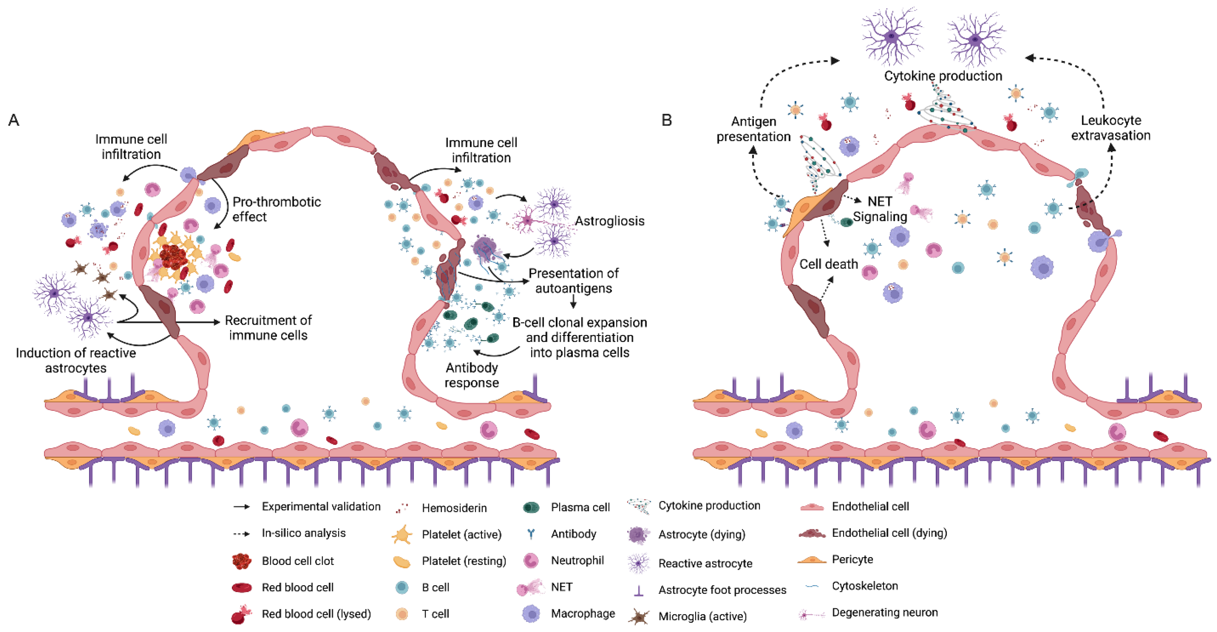 Brainsci 13 01336 g003