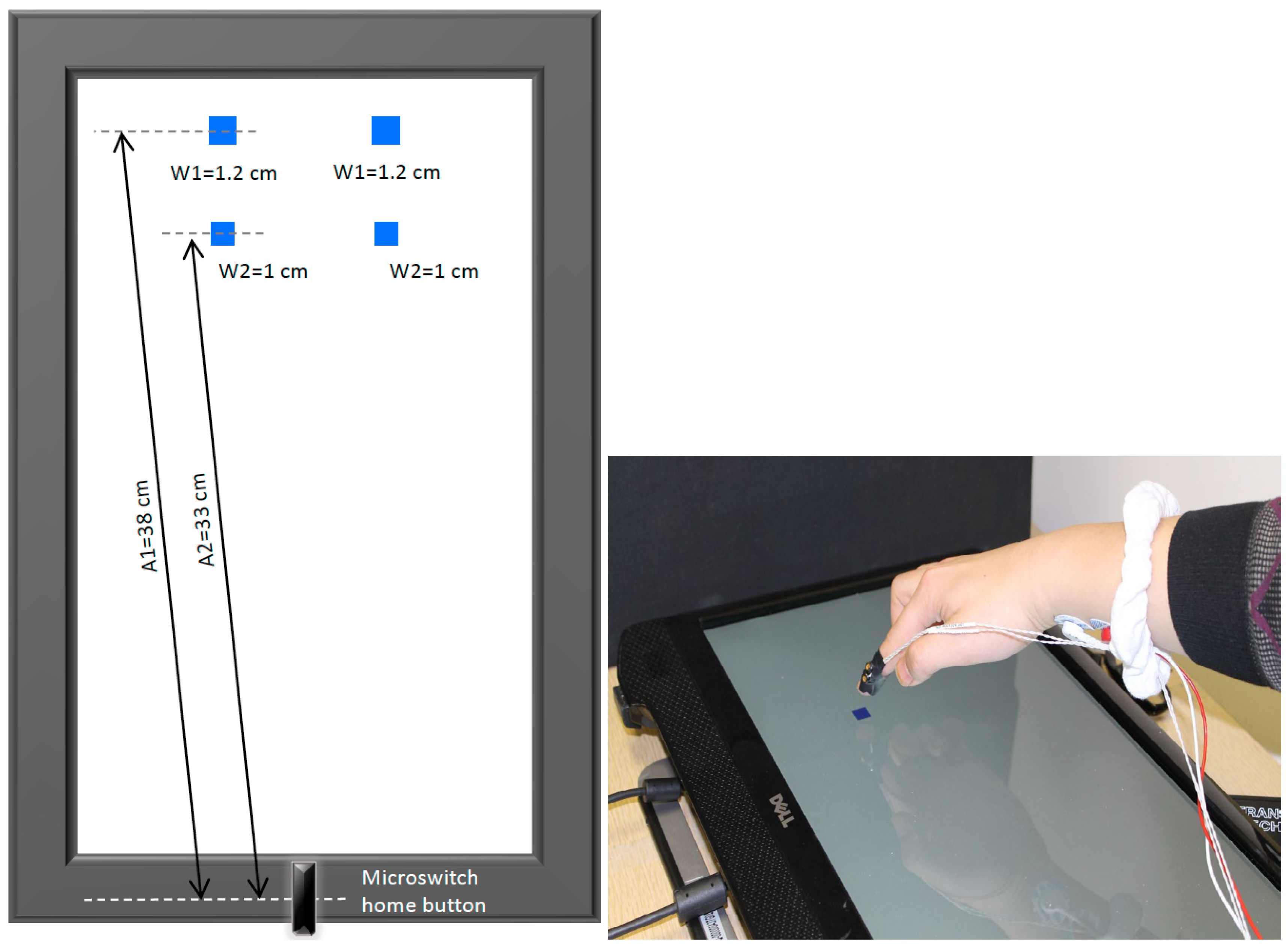 Brainsci 13 01341 g001