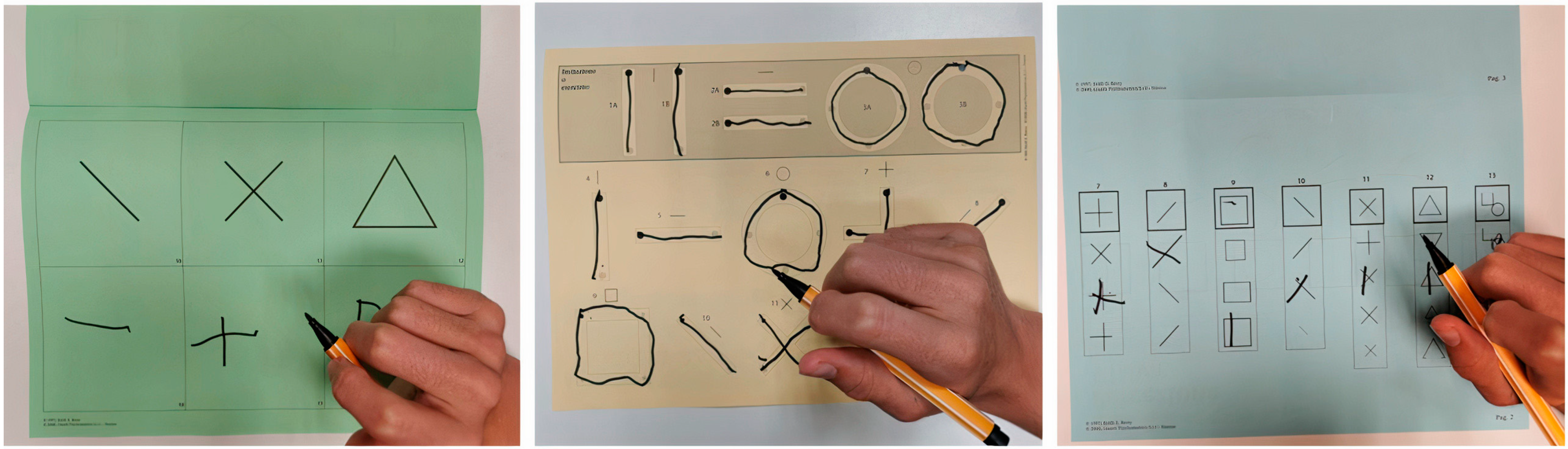 Brainsci 13 01348 g002 Brainsci 13 01348 g002