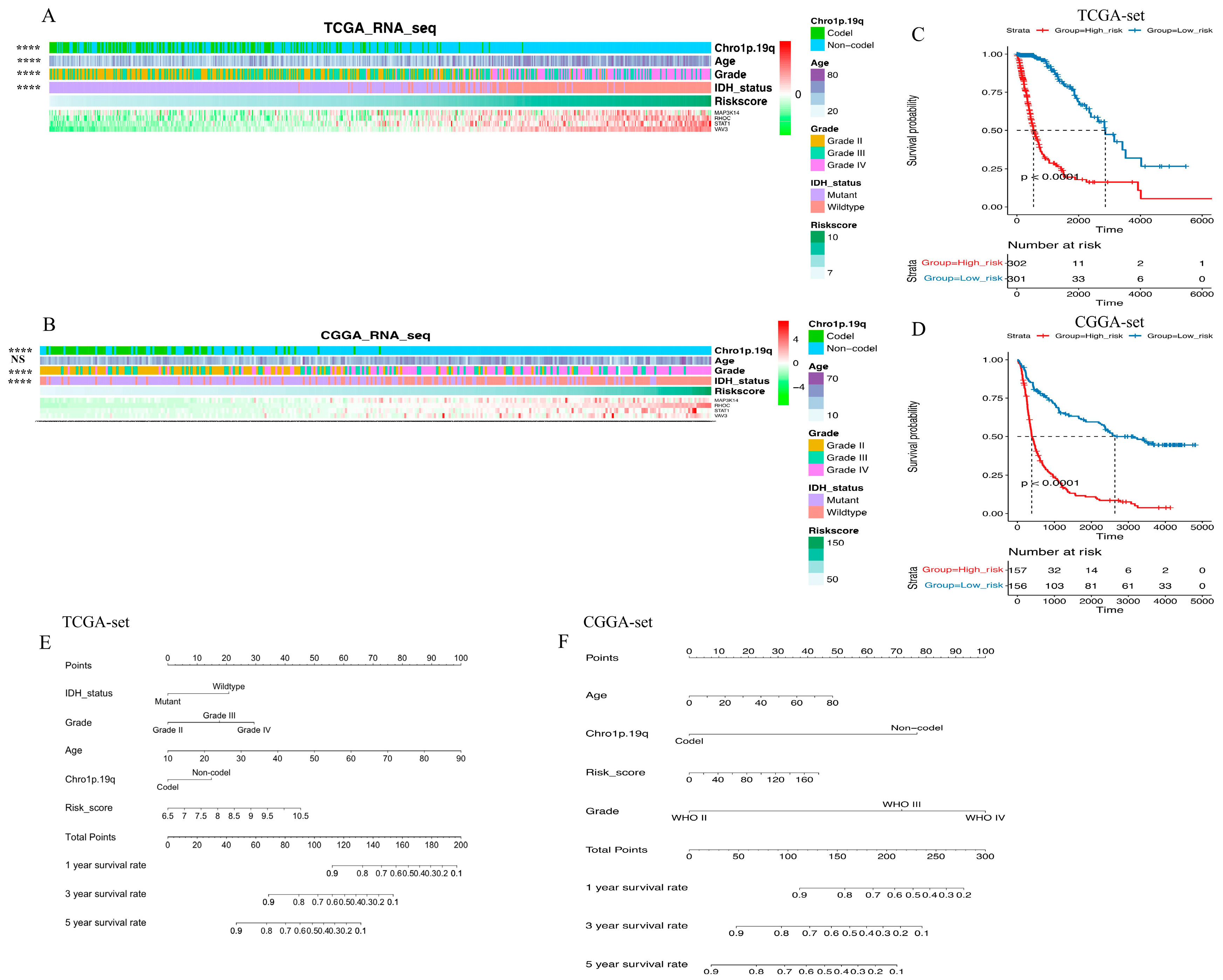 Brainsci 13 01349 g002 Brainsci 13 01349 g002