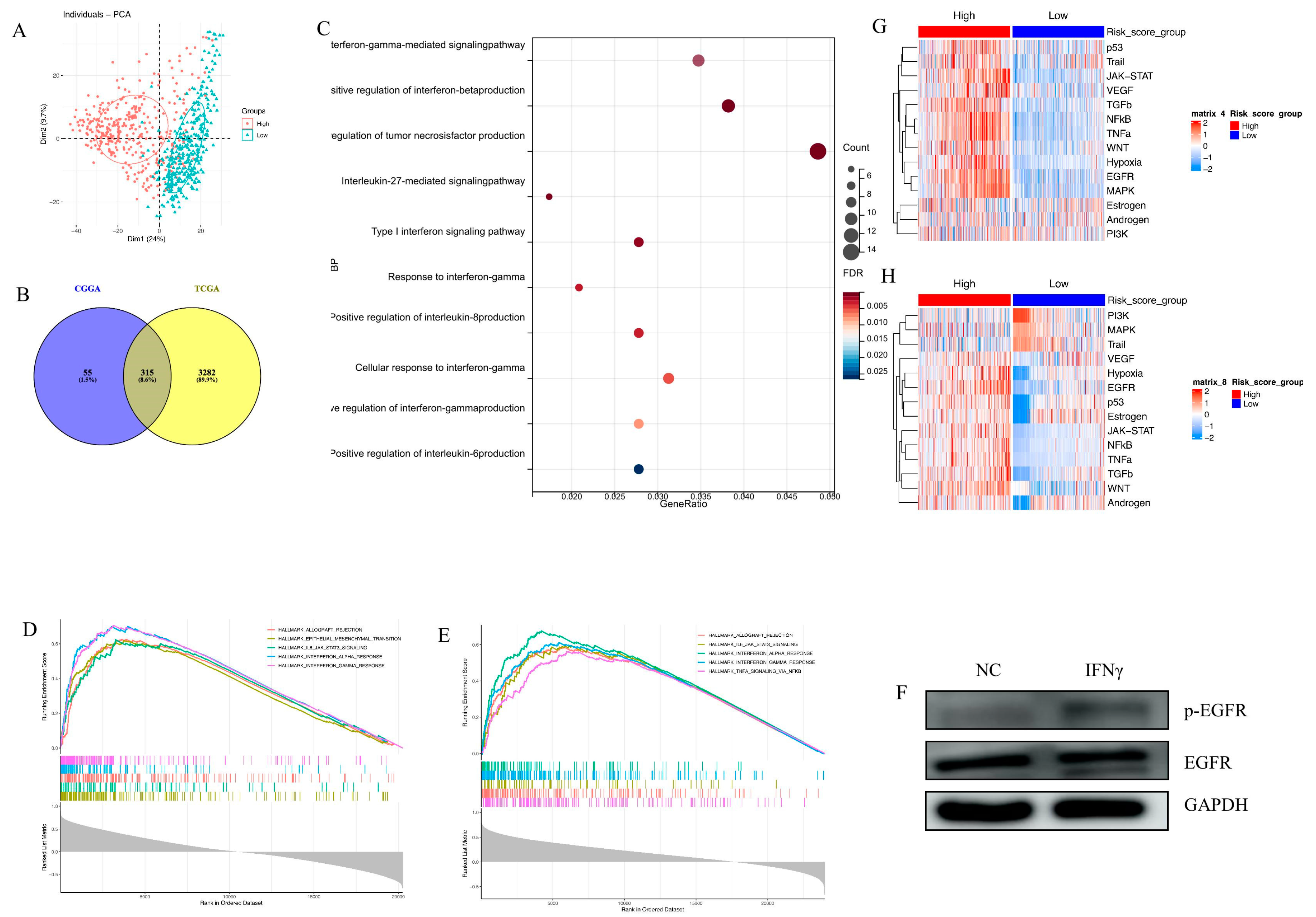 Brainsci 13 01349 g003 Brainsci 13 01349 g003