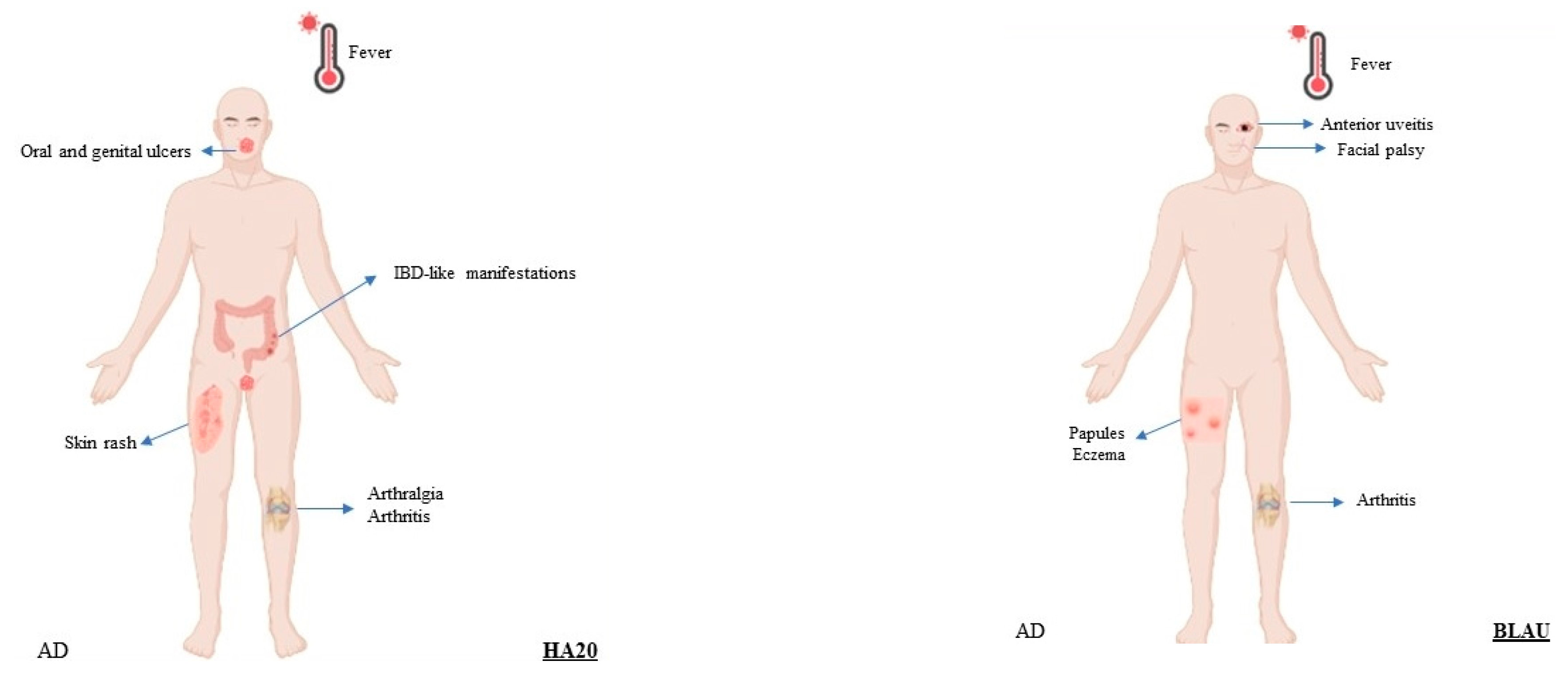 Brainsci 13 01351 g003b