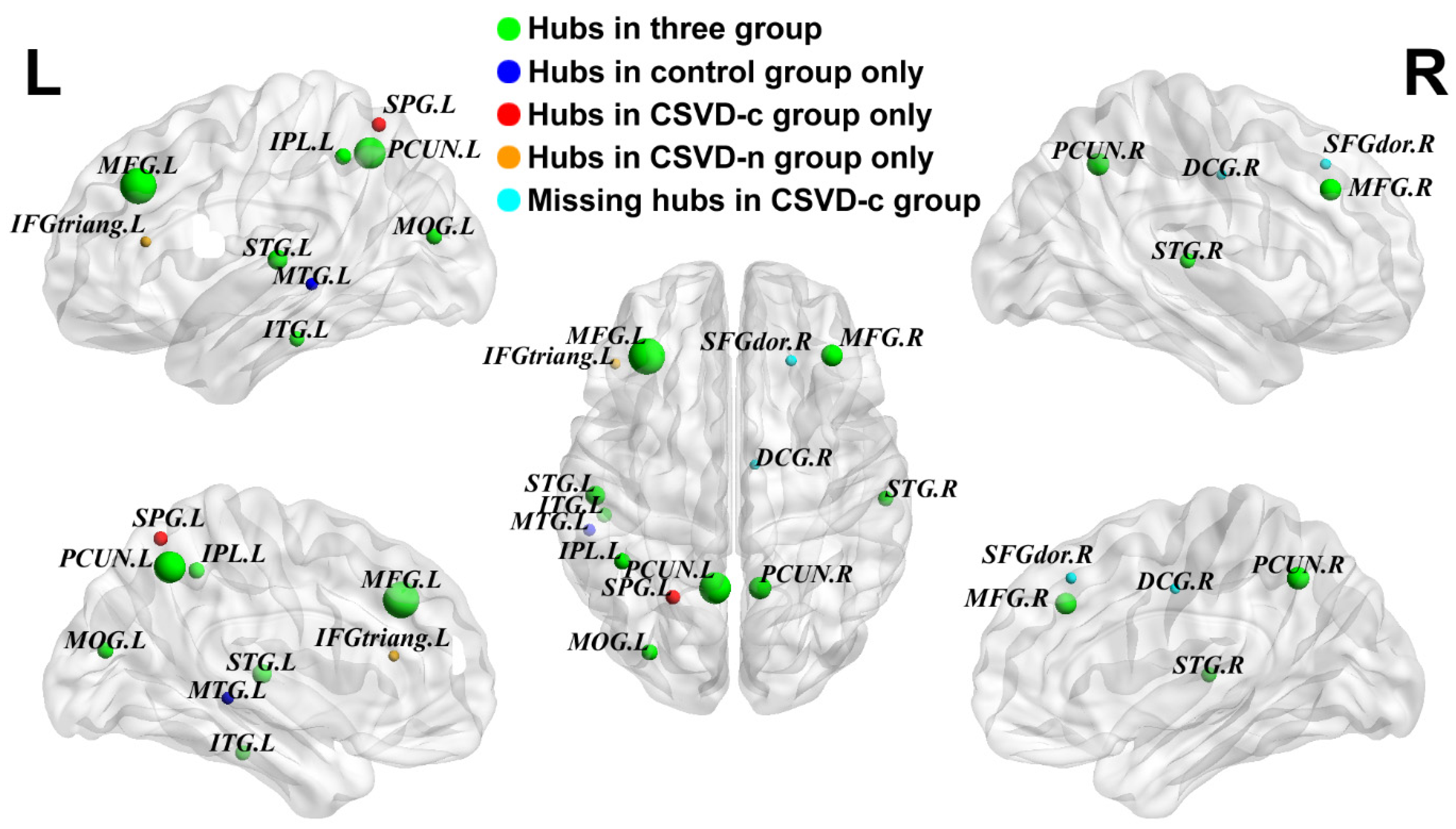 Brainsci 13 01359 g003