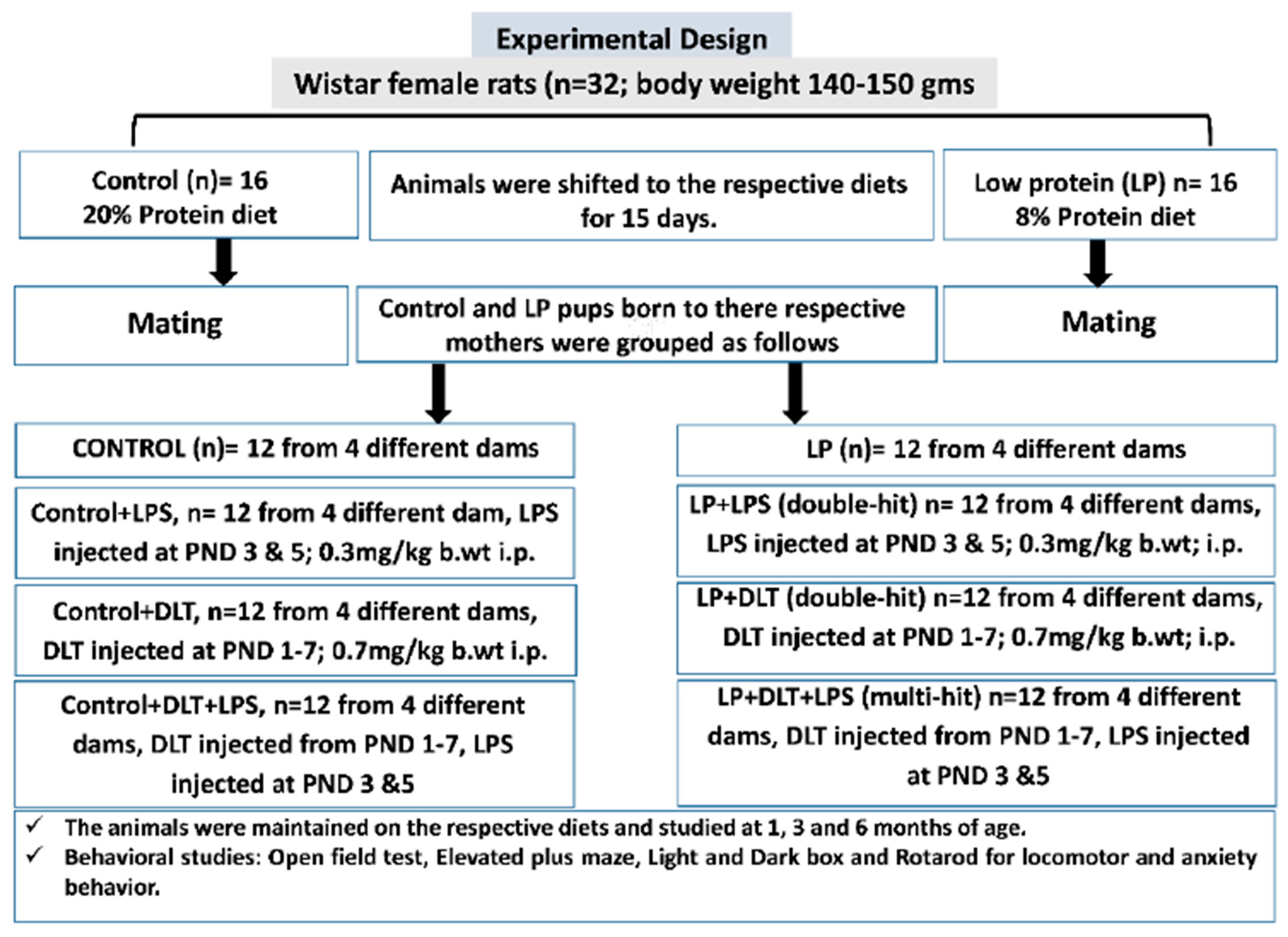 Brainsci 13 01360 g001