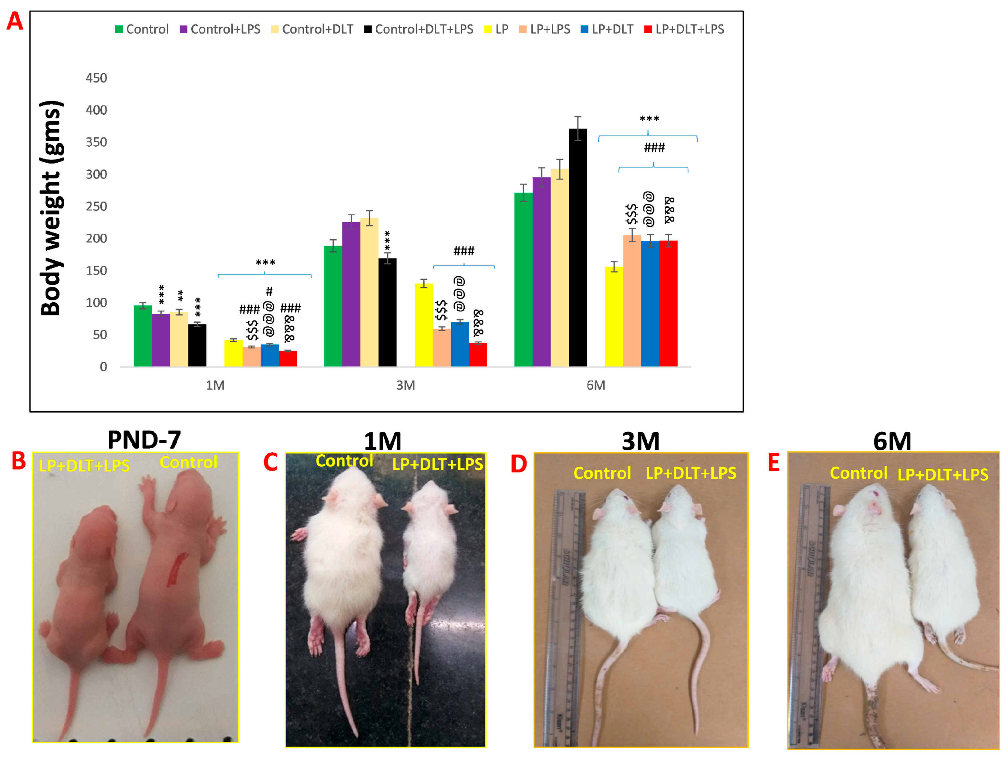 A behavioral comparison of the common laboratory rat strains Lister Hooded,  Lewis, Fischer 344 and Wistar in an automated homecage system - Clemens -  2014 - Genes, Brain and Behavior - Wiley Online Library