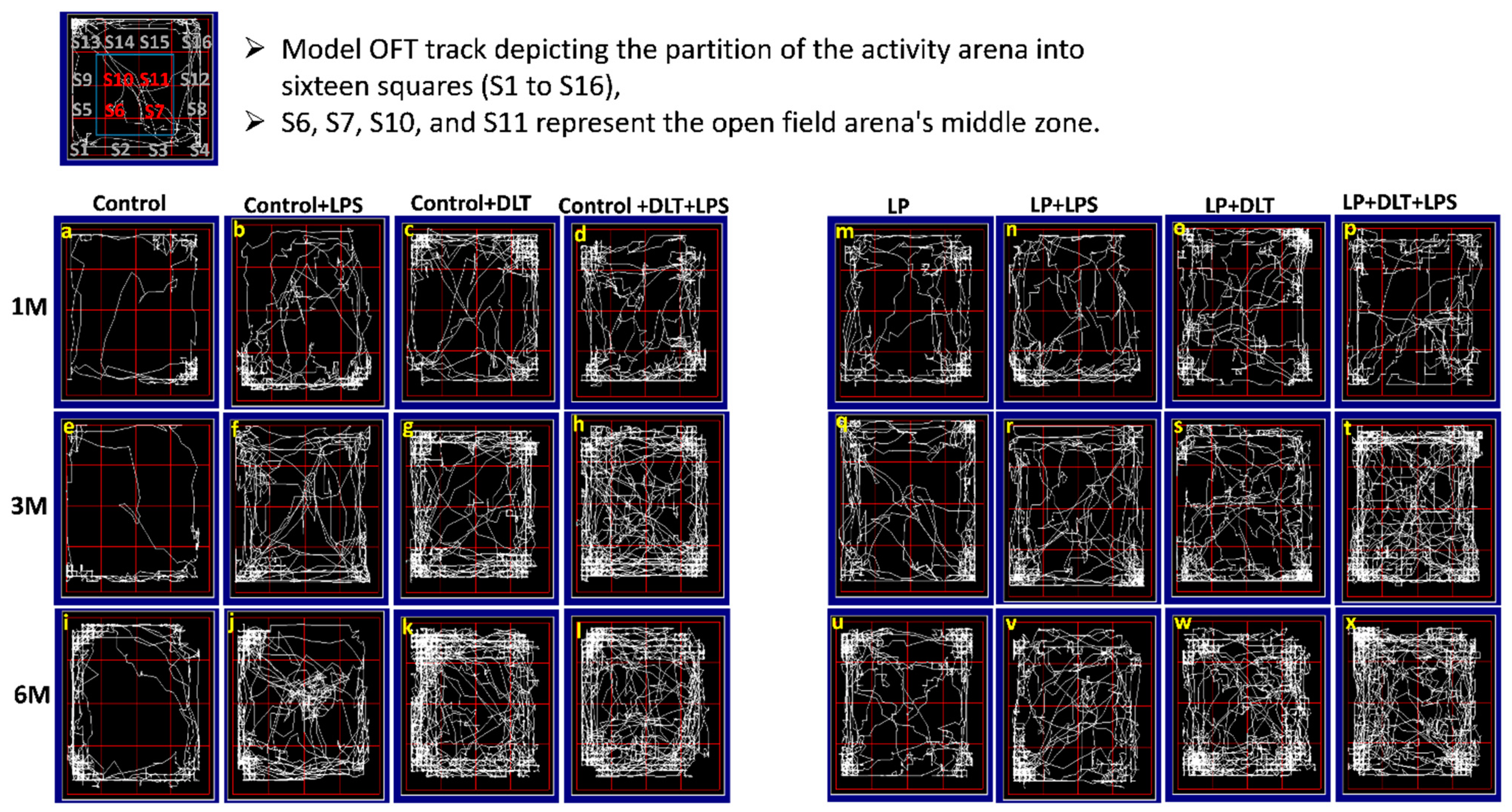 Brainsci 13 01360 g004