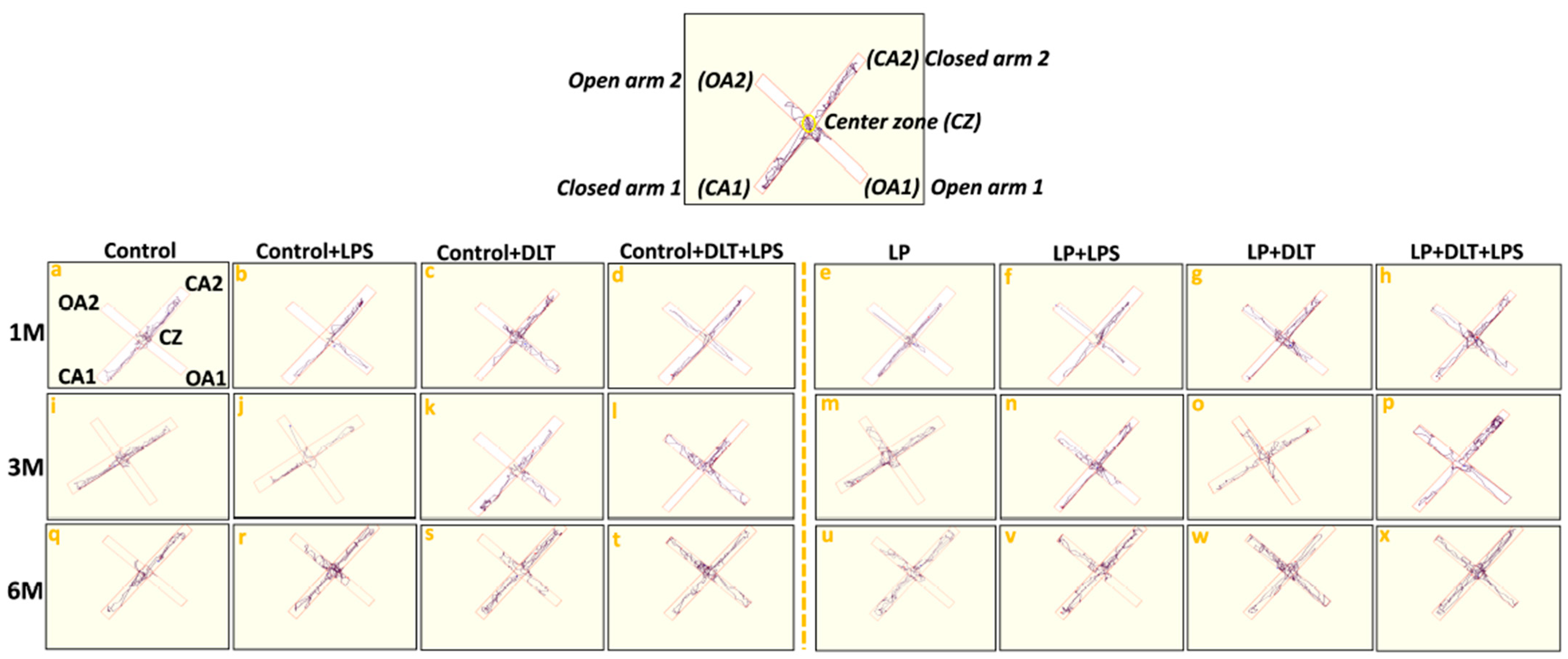 Brainsci 13 01360 g006