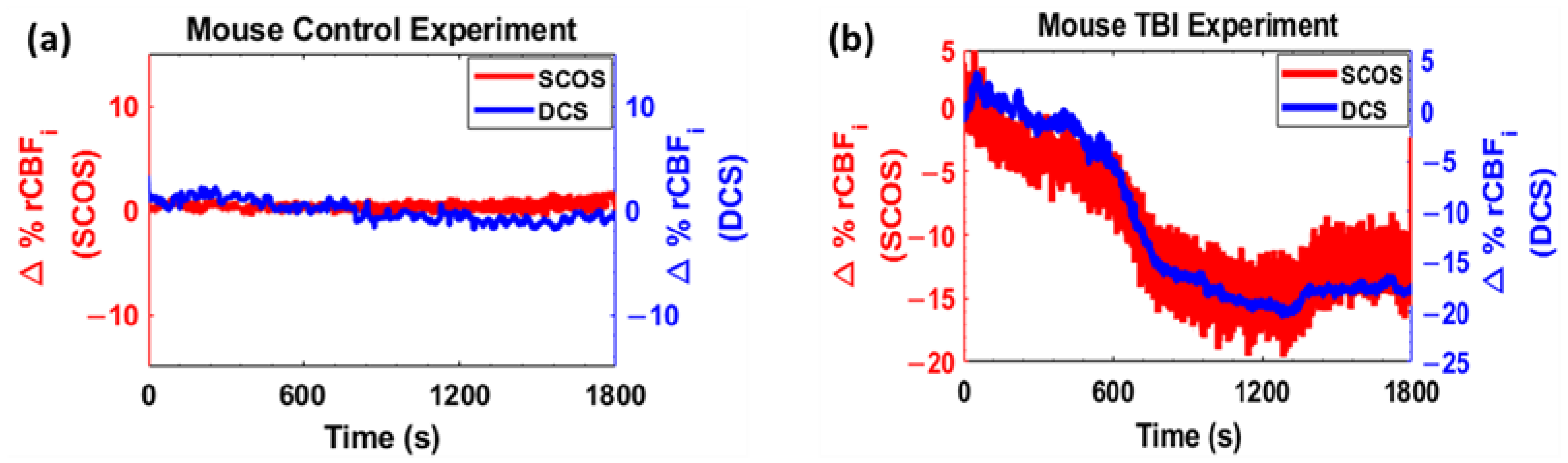Brainsci 13 01365 g002