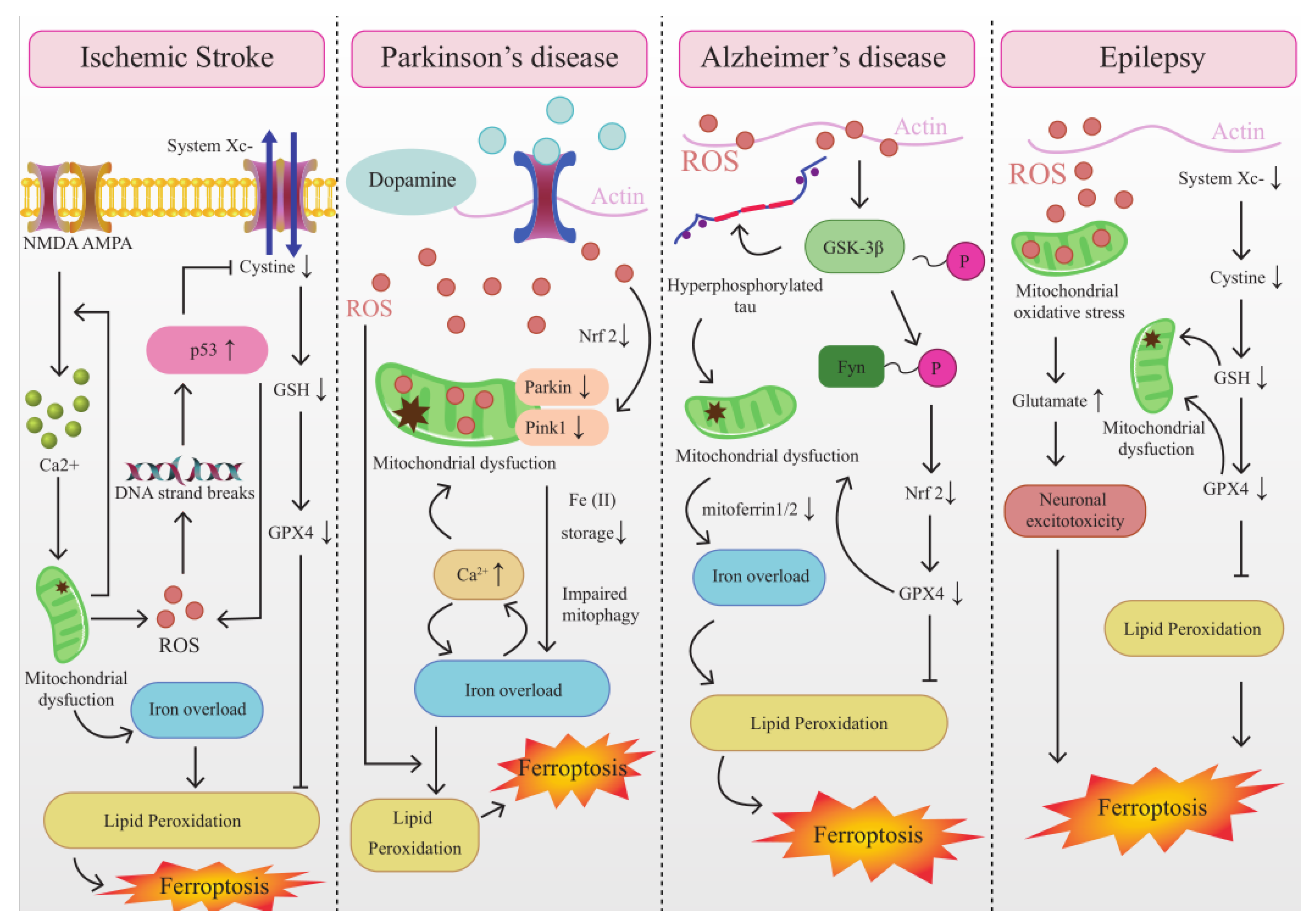 Brainsci 13 01367 g002