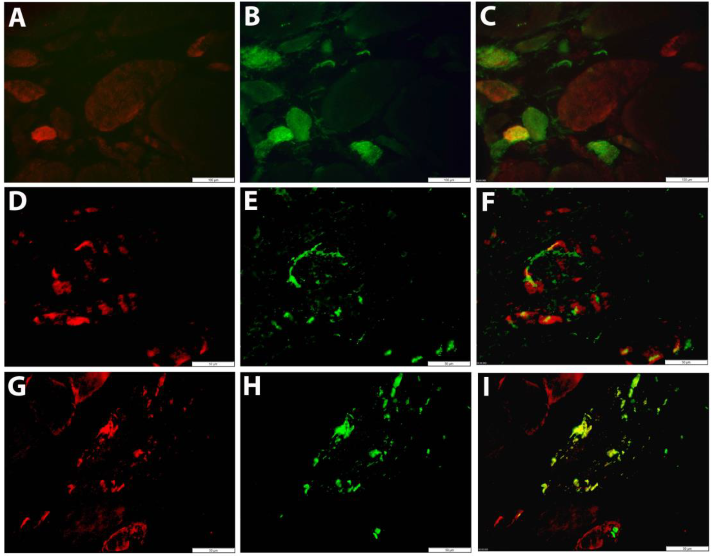 Brainsci 13 01369 g004