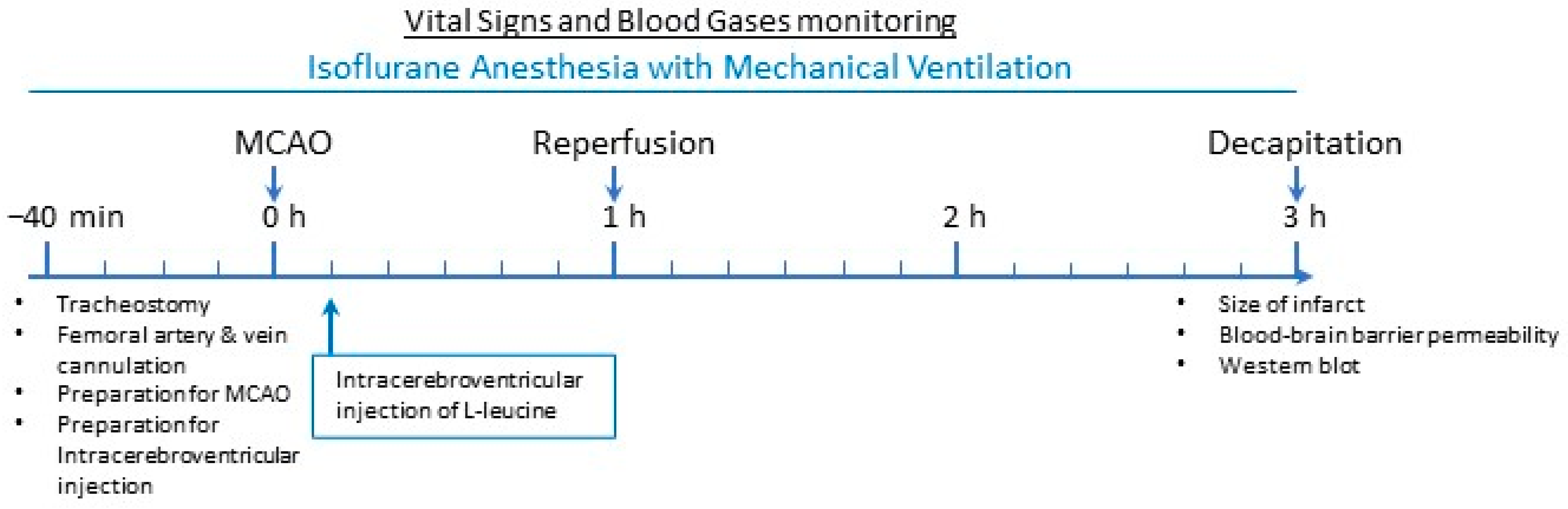 Brainsci 13 01372 g001
