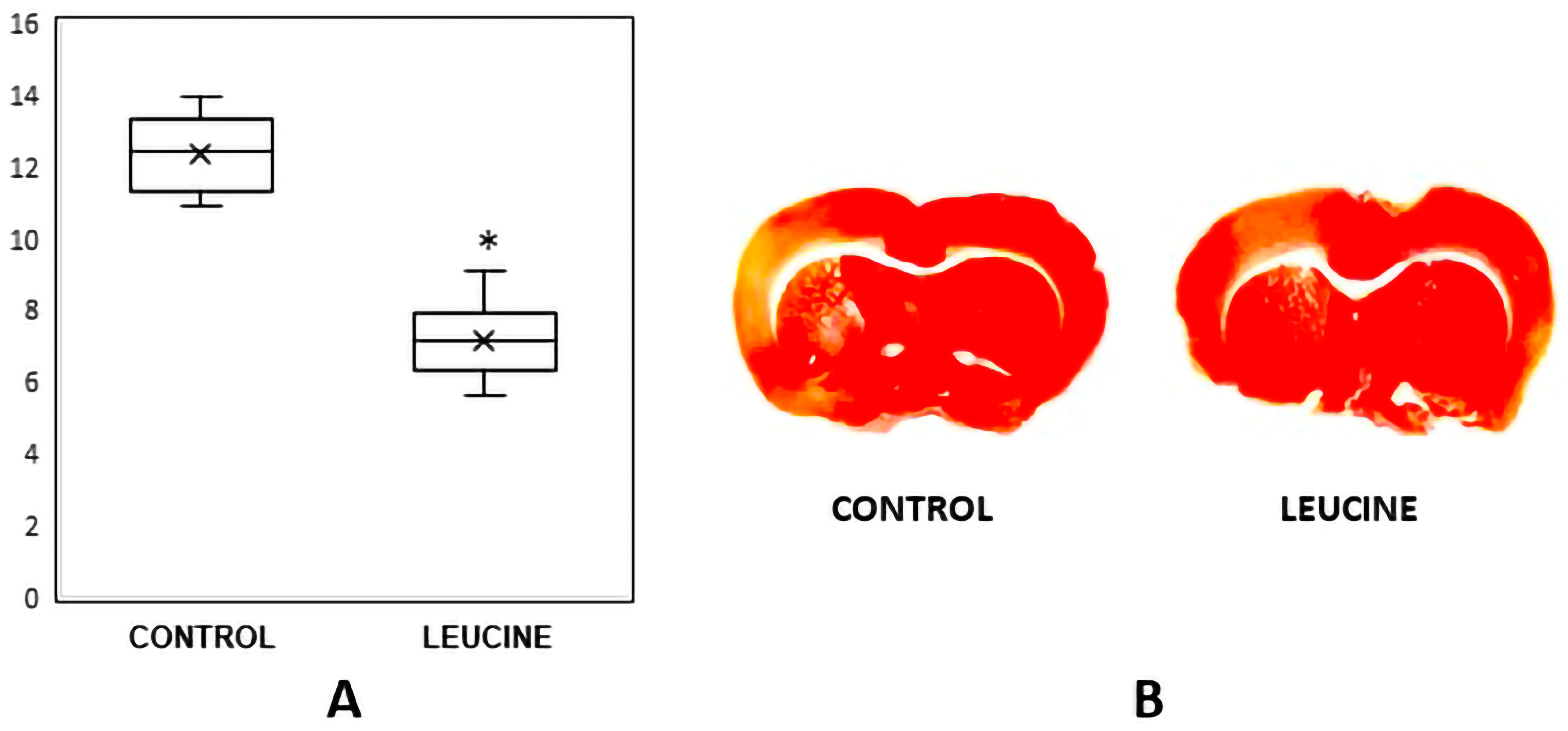 Brainsci 13 01372 g003