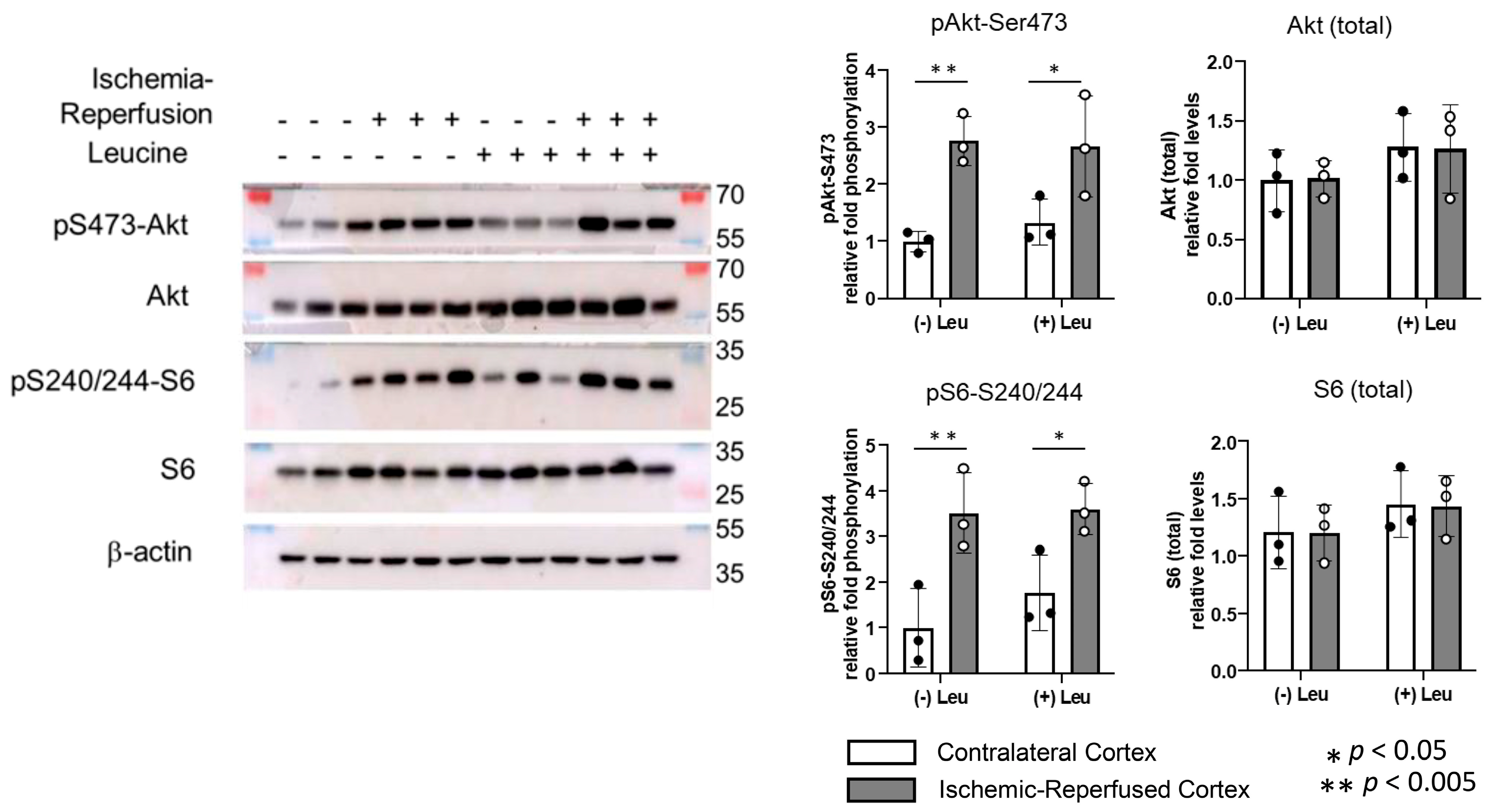 Brainsci 13 01372 g004