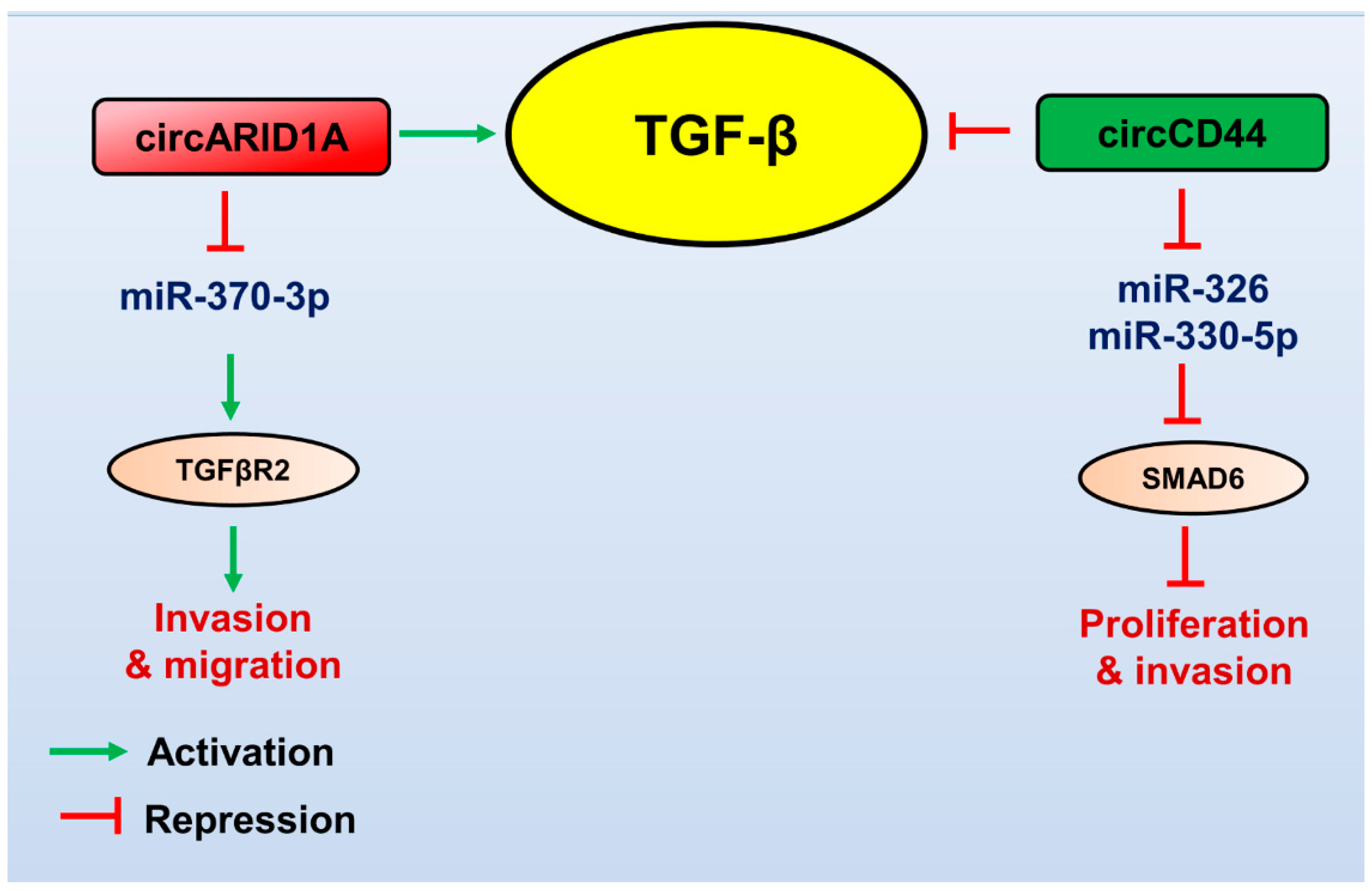 Brainsci 13 01376 g003
