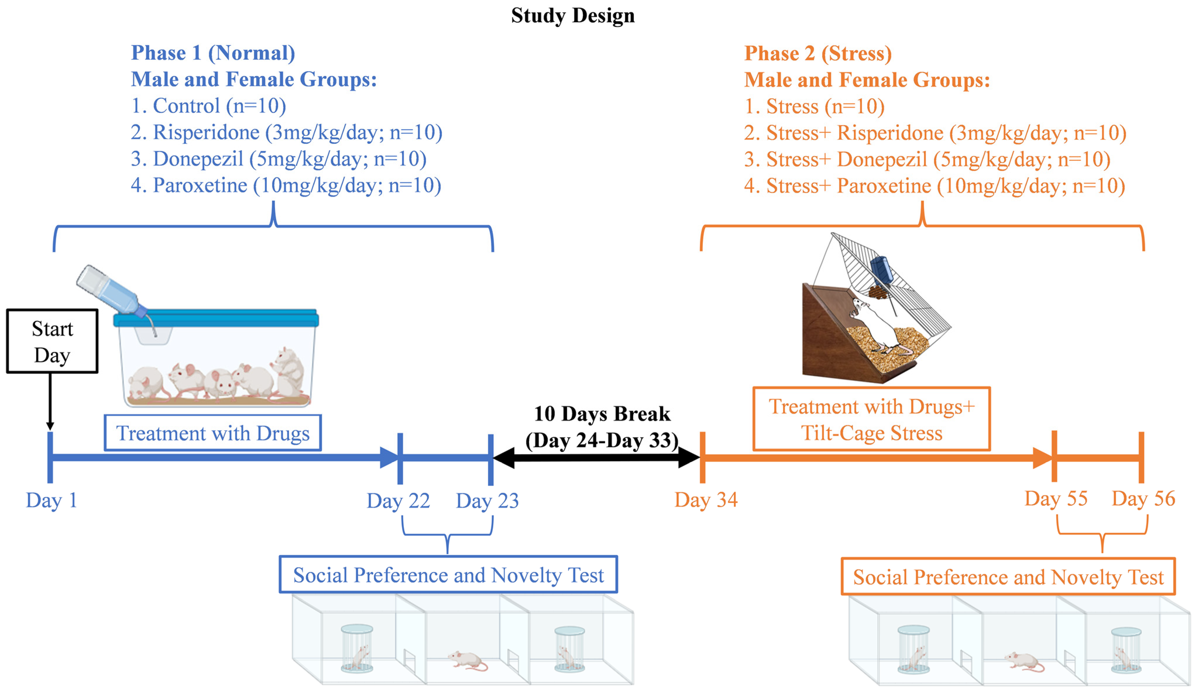 Brainsci 13 01378 g001