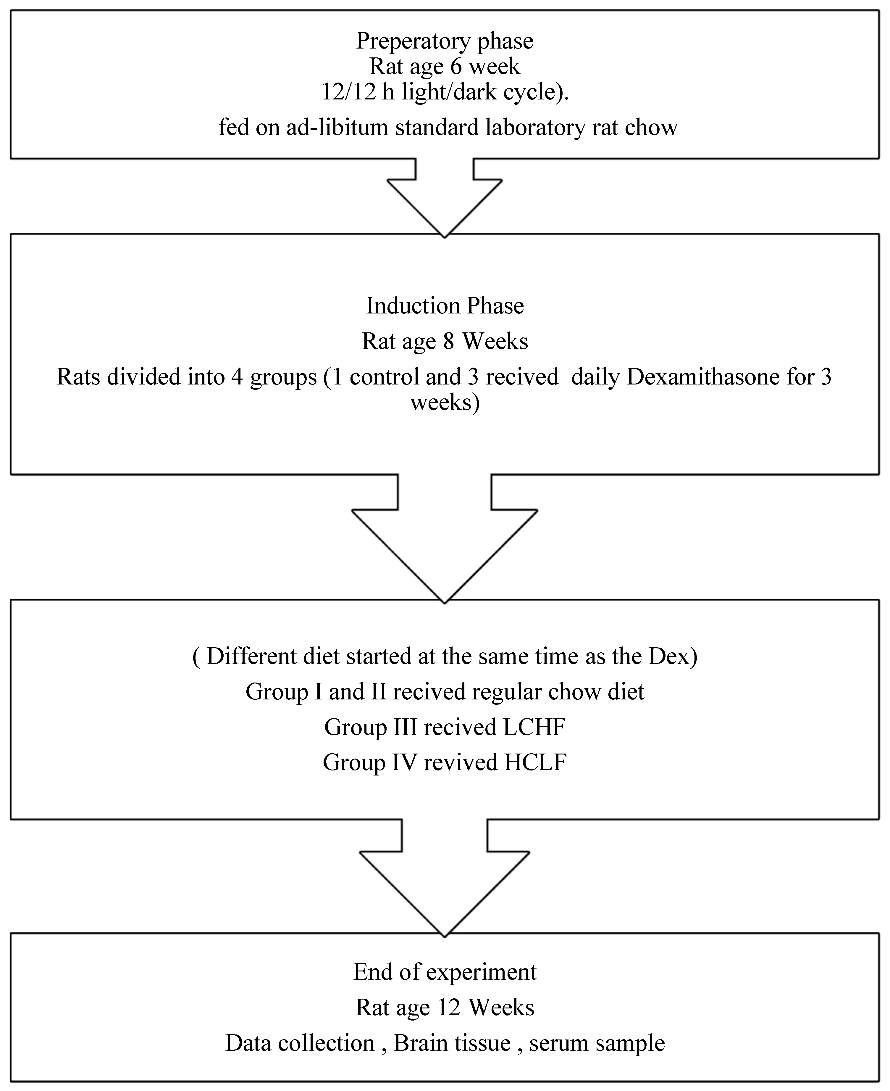 Brainsci 13 01383 g001