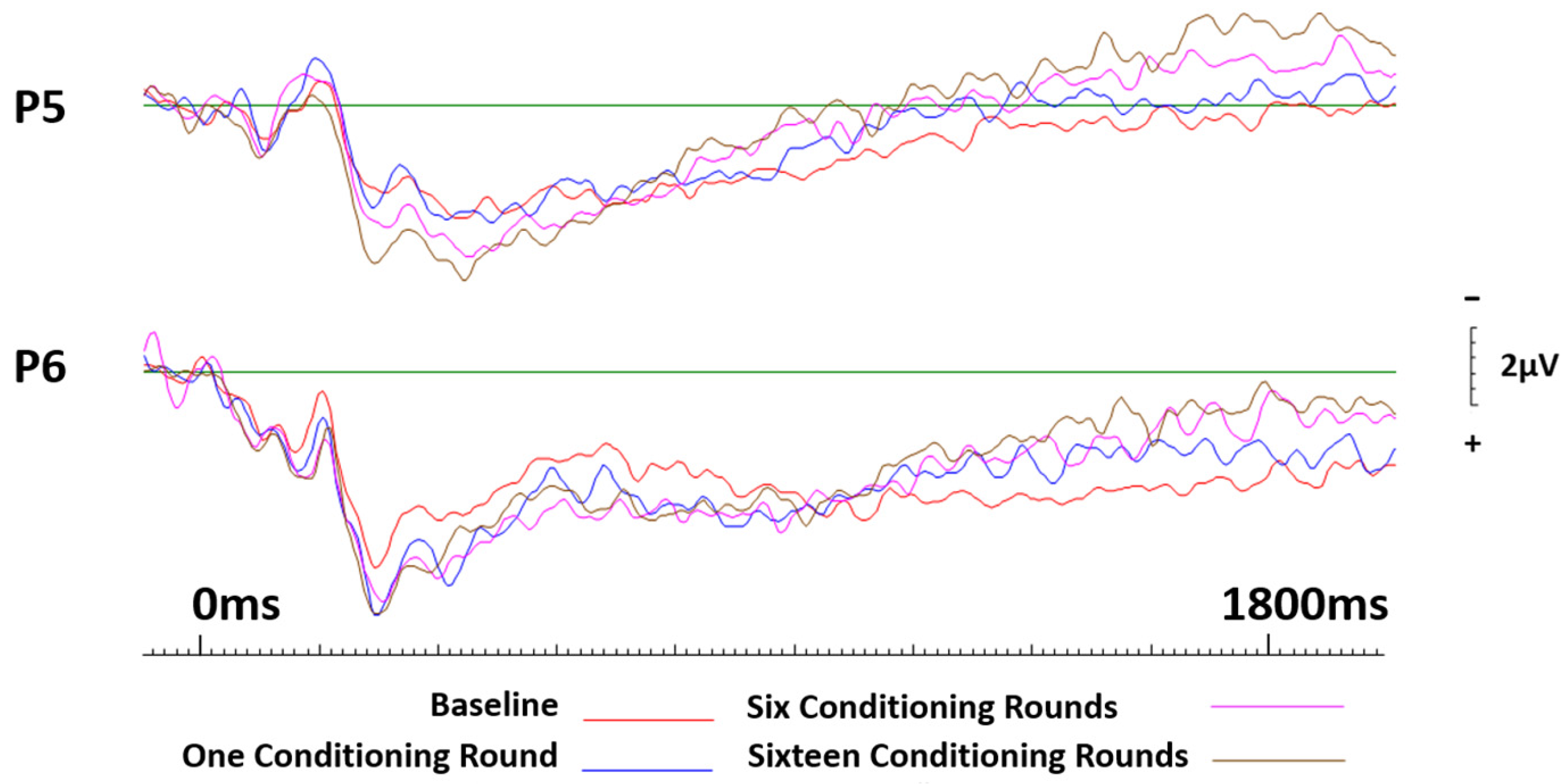 Brainsci 13 01393 g008