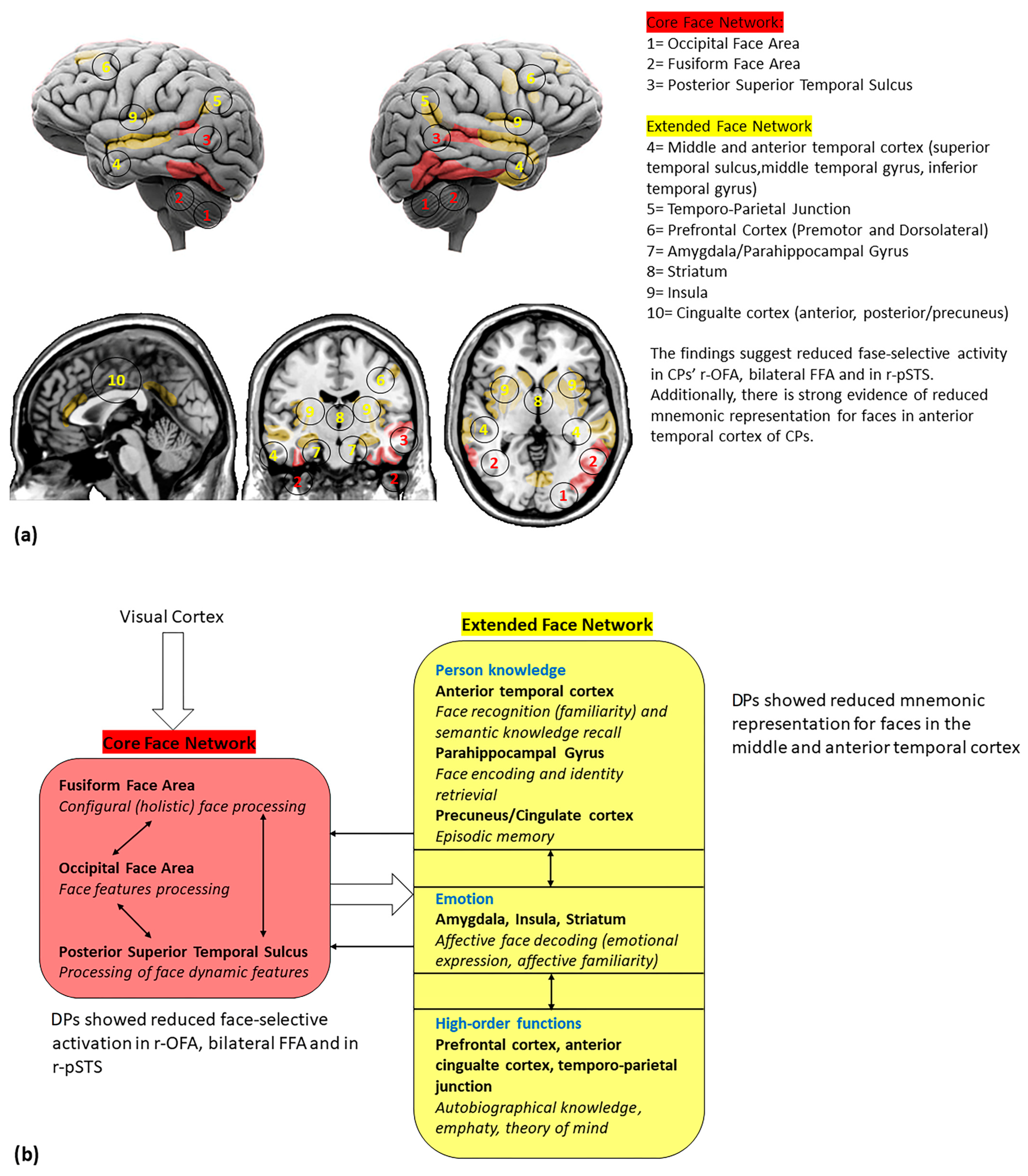 Brainsci 13 01399 g002 Brainsci 13 01399 g002