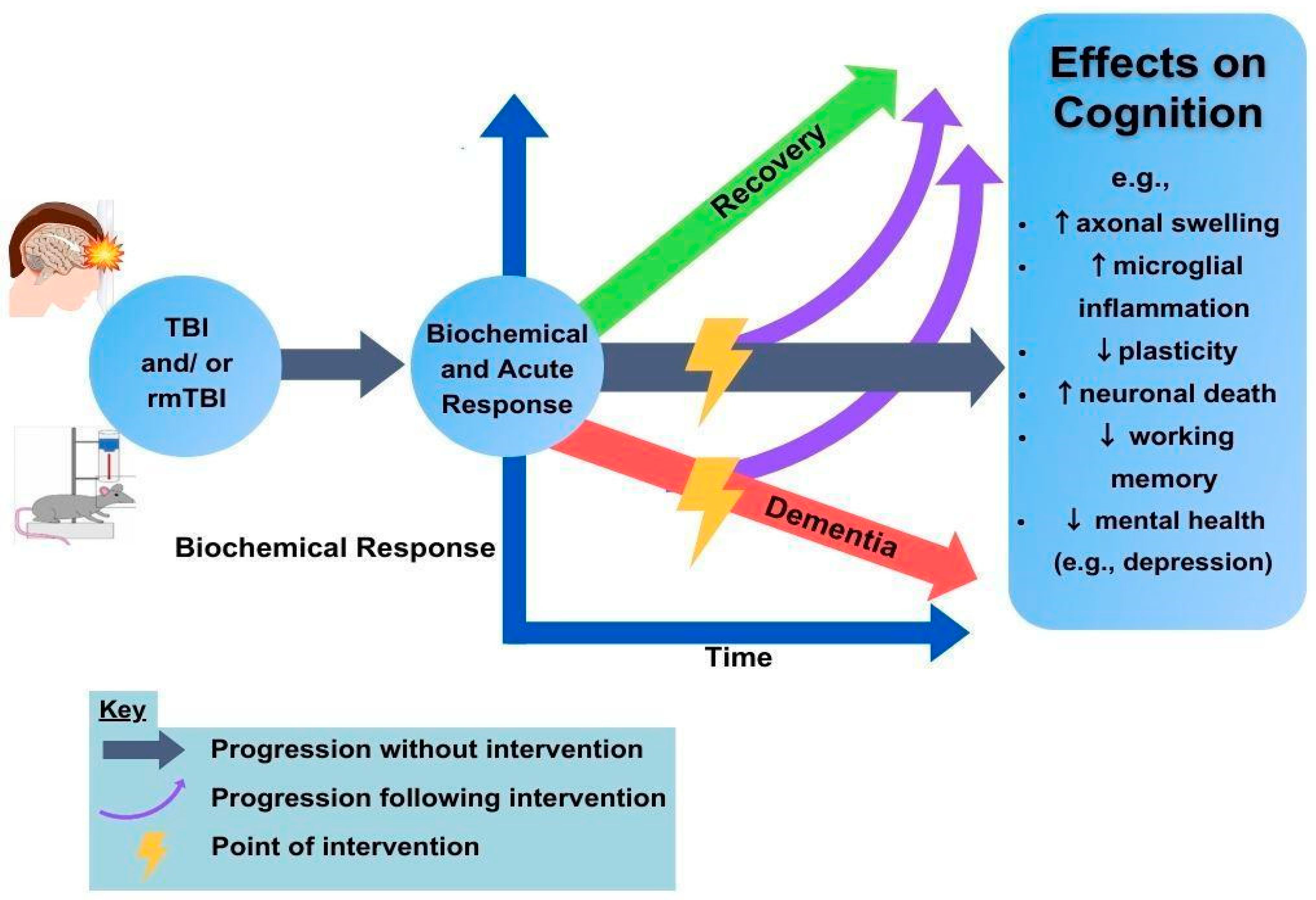 Brainsci 13 01402 g001