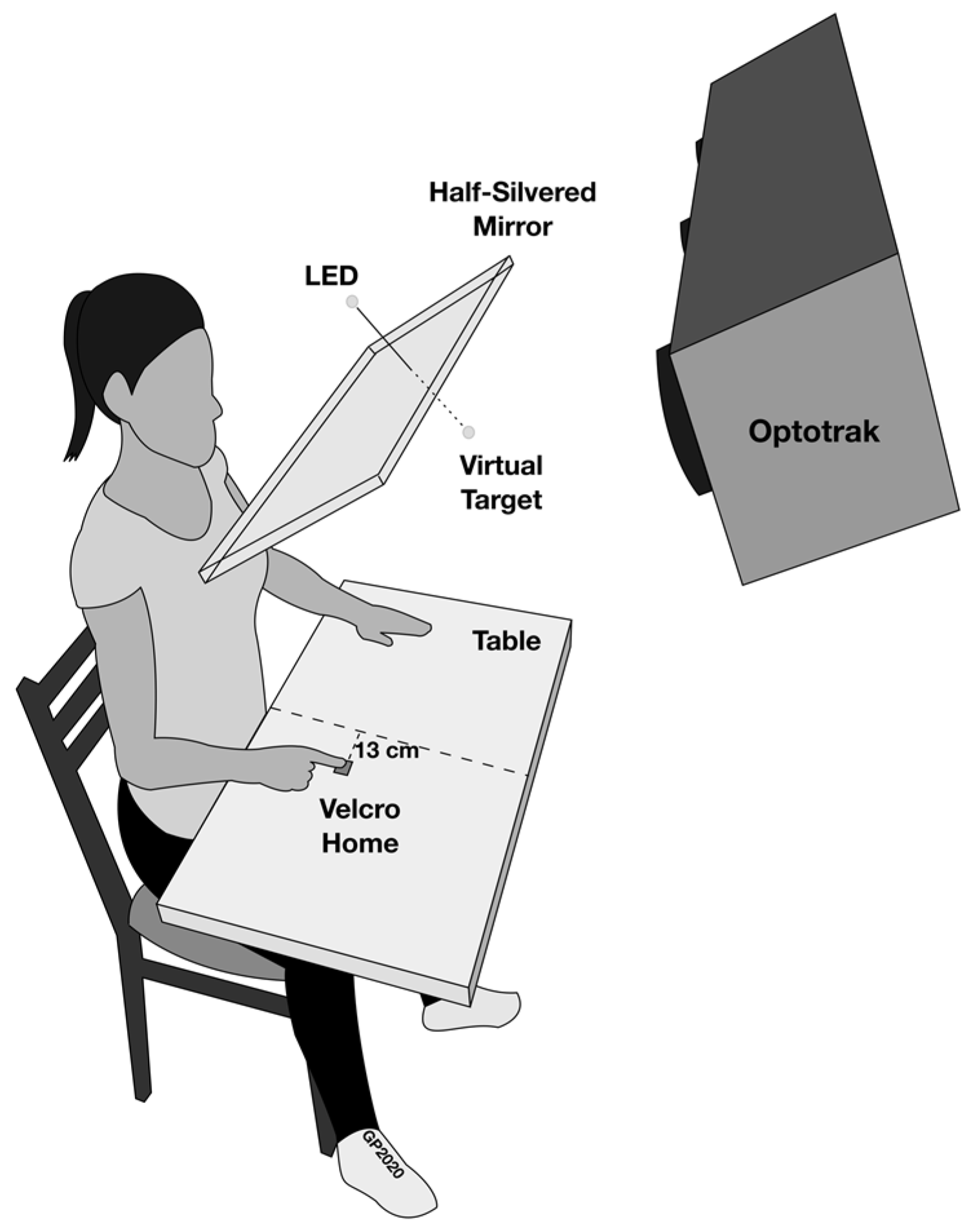 Brainsci 13 01407 g001