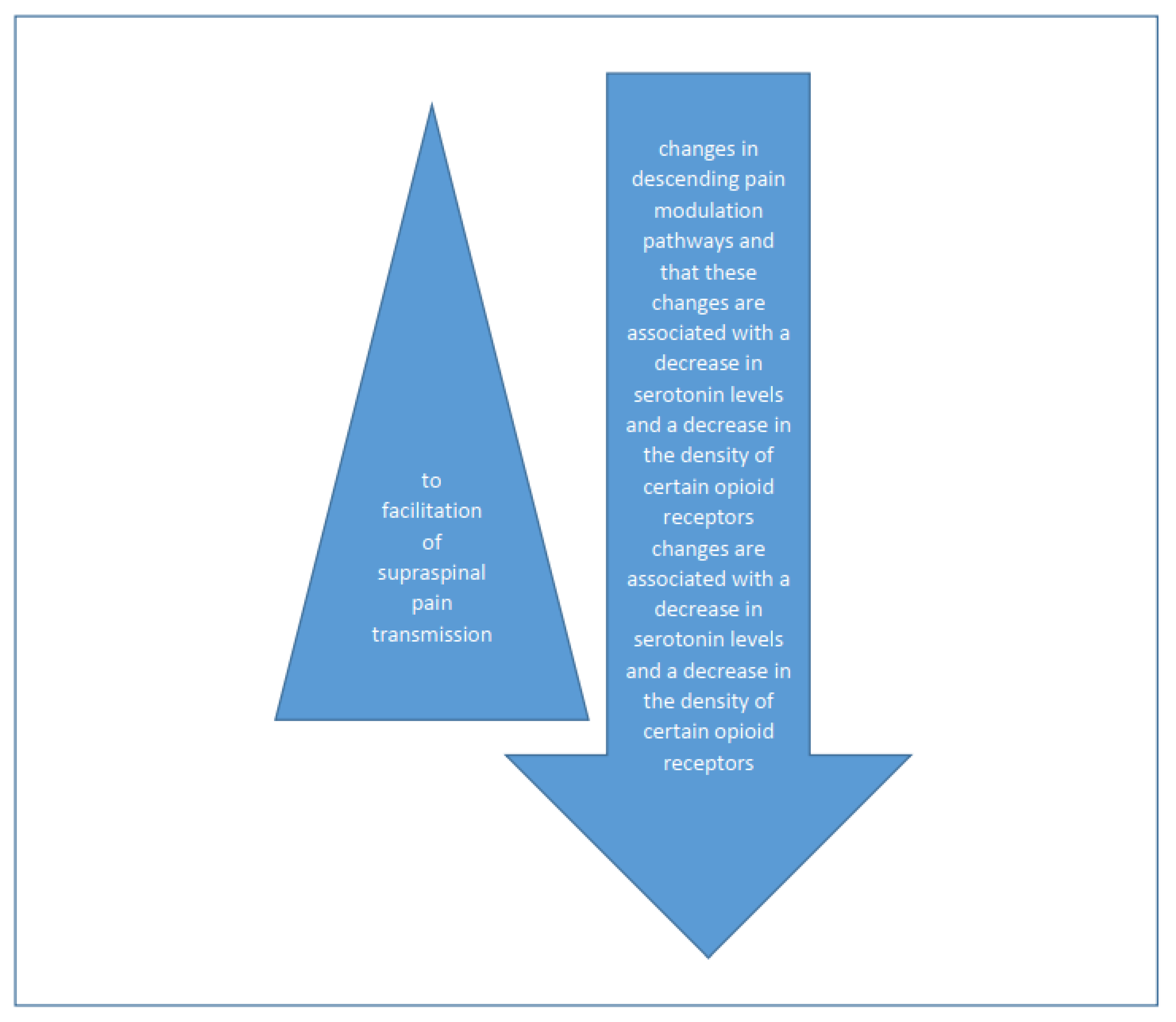 Brainsci 13 01408 g004