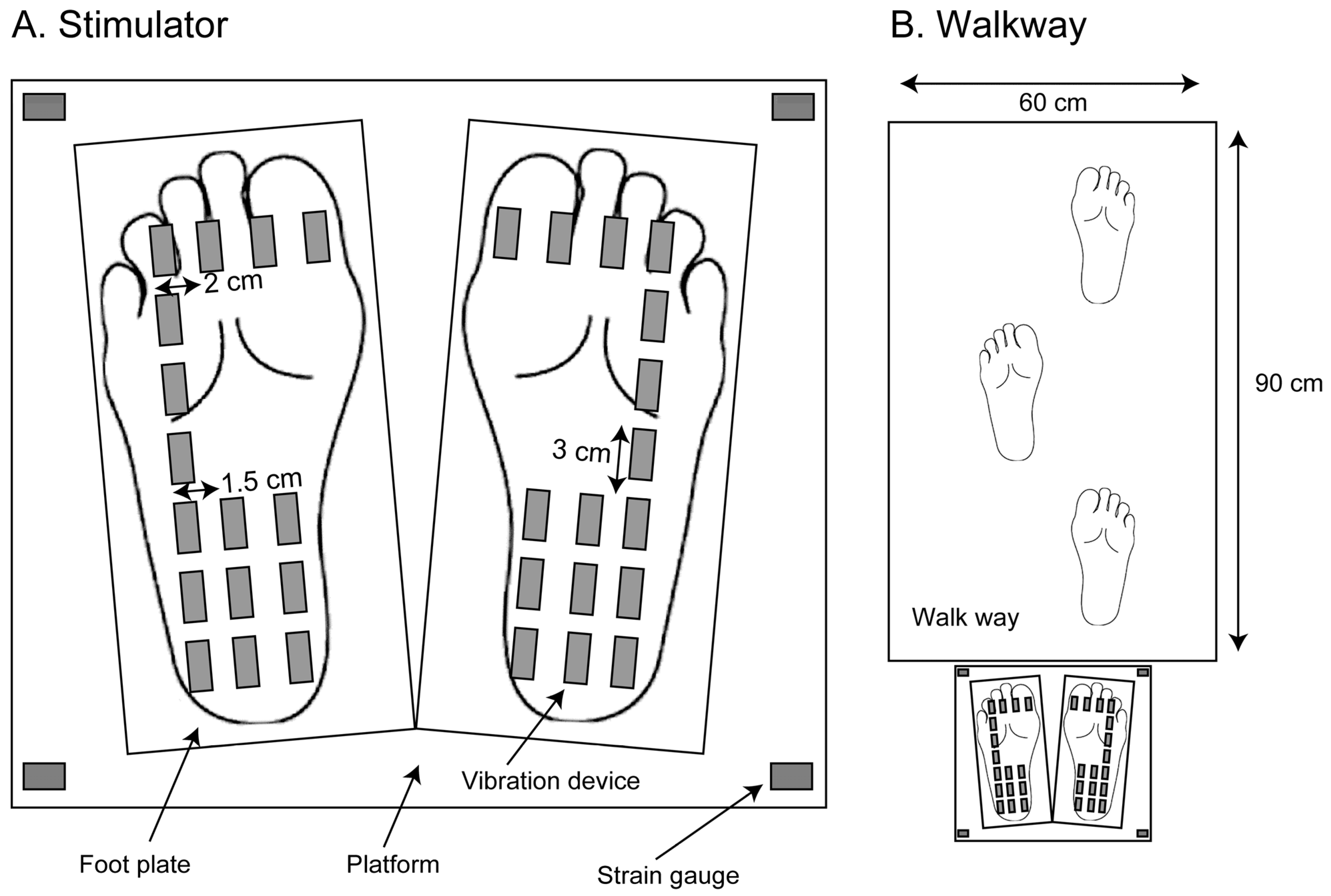 Brainsci 13 01411 g001