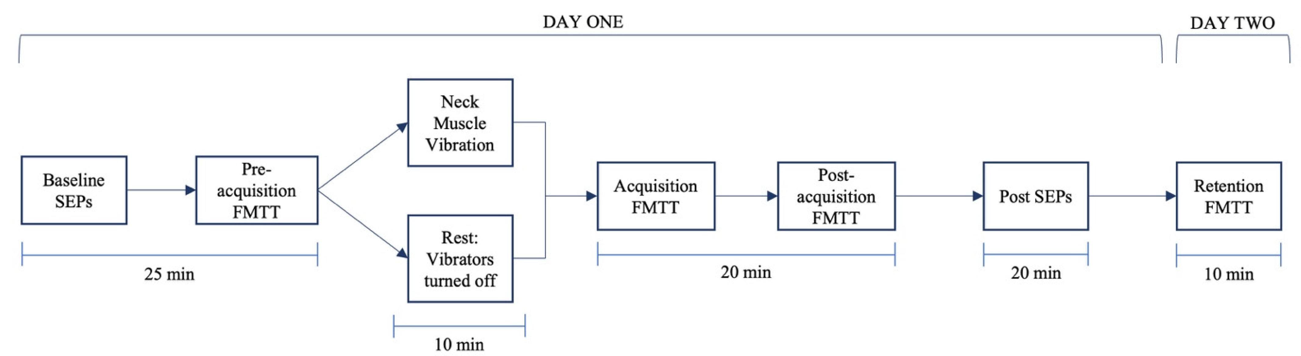 Brainsci 13 01412 g001
