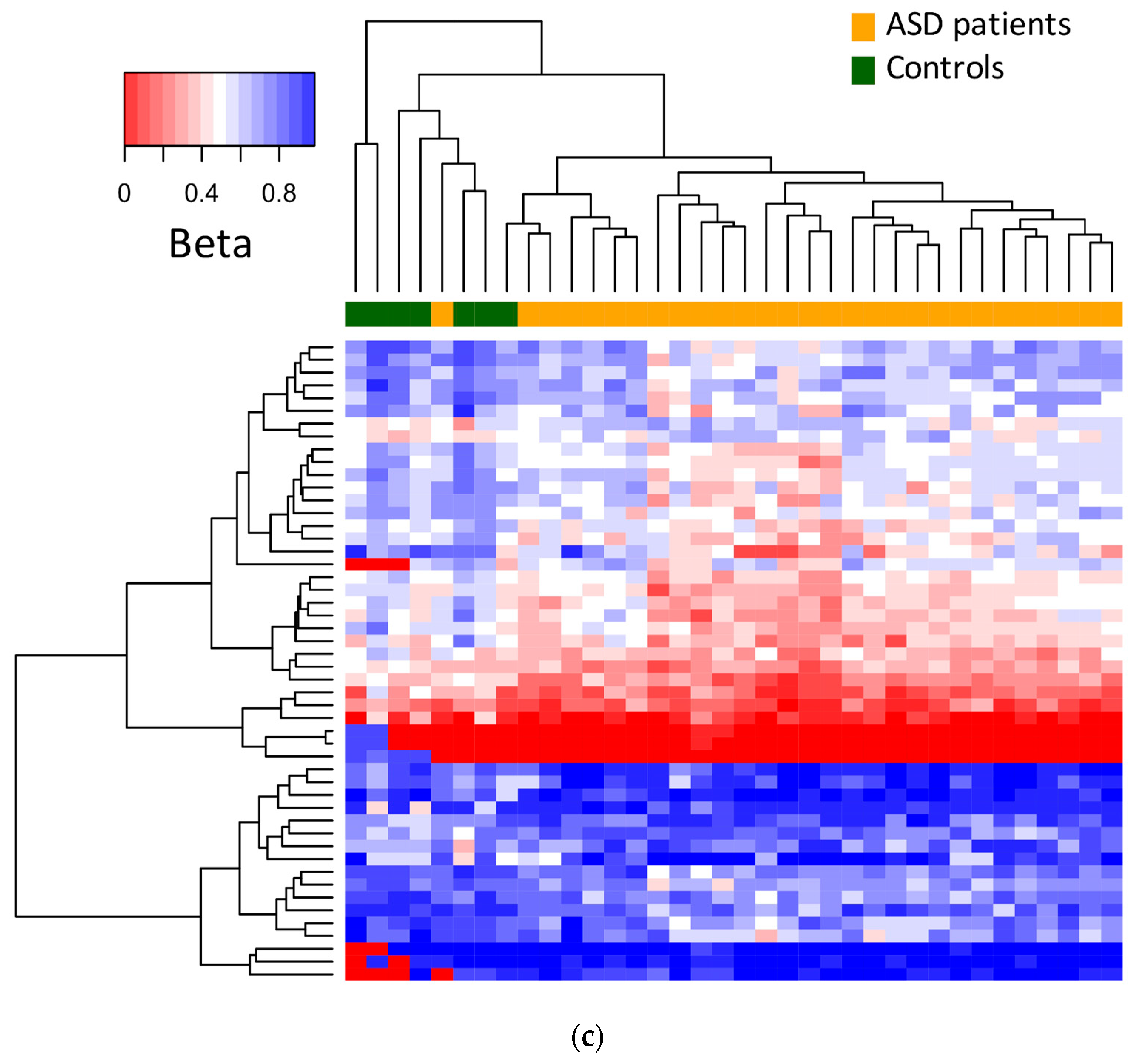 Brainsci 13 01420 g001b