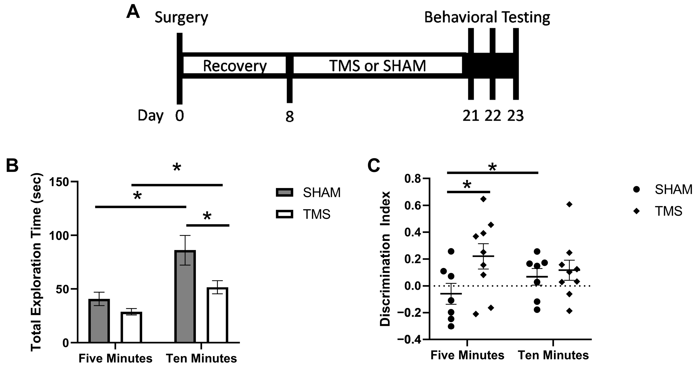 Brainsci 13 01425 g001