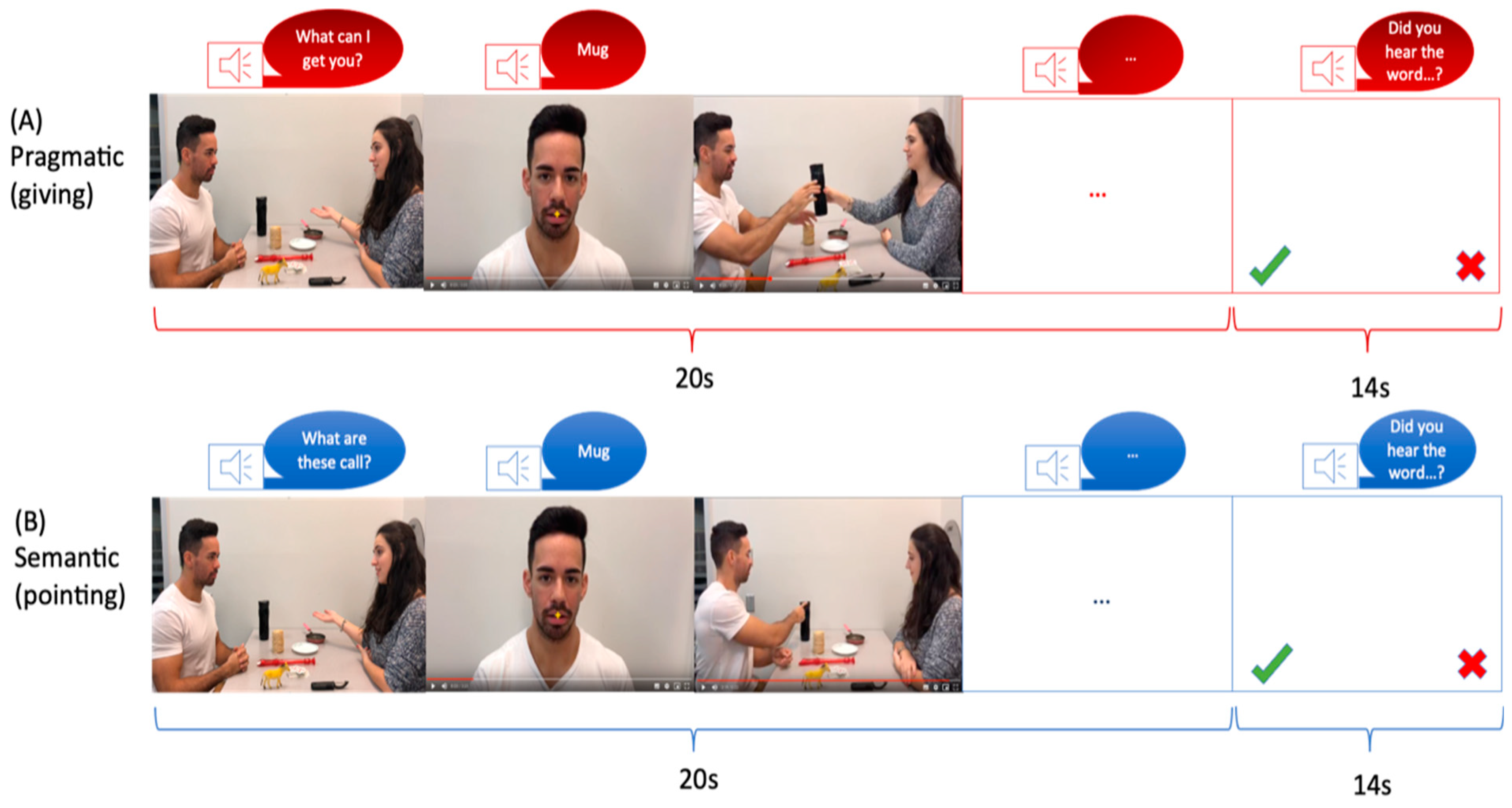 Brainsci 13 01448 g001