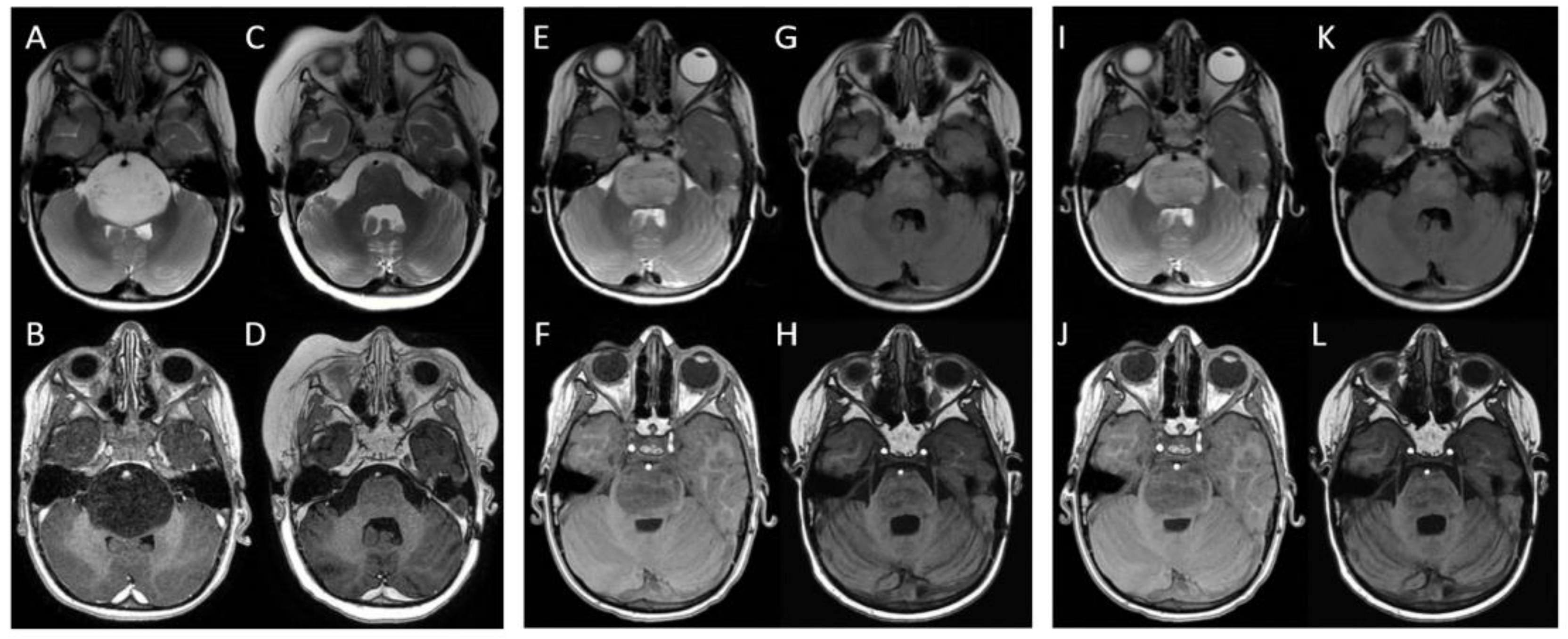 Brainsci 13 01449 g002