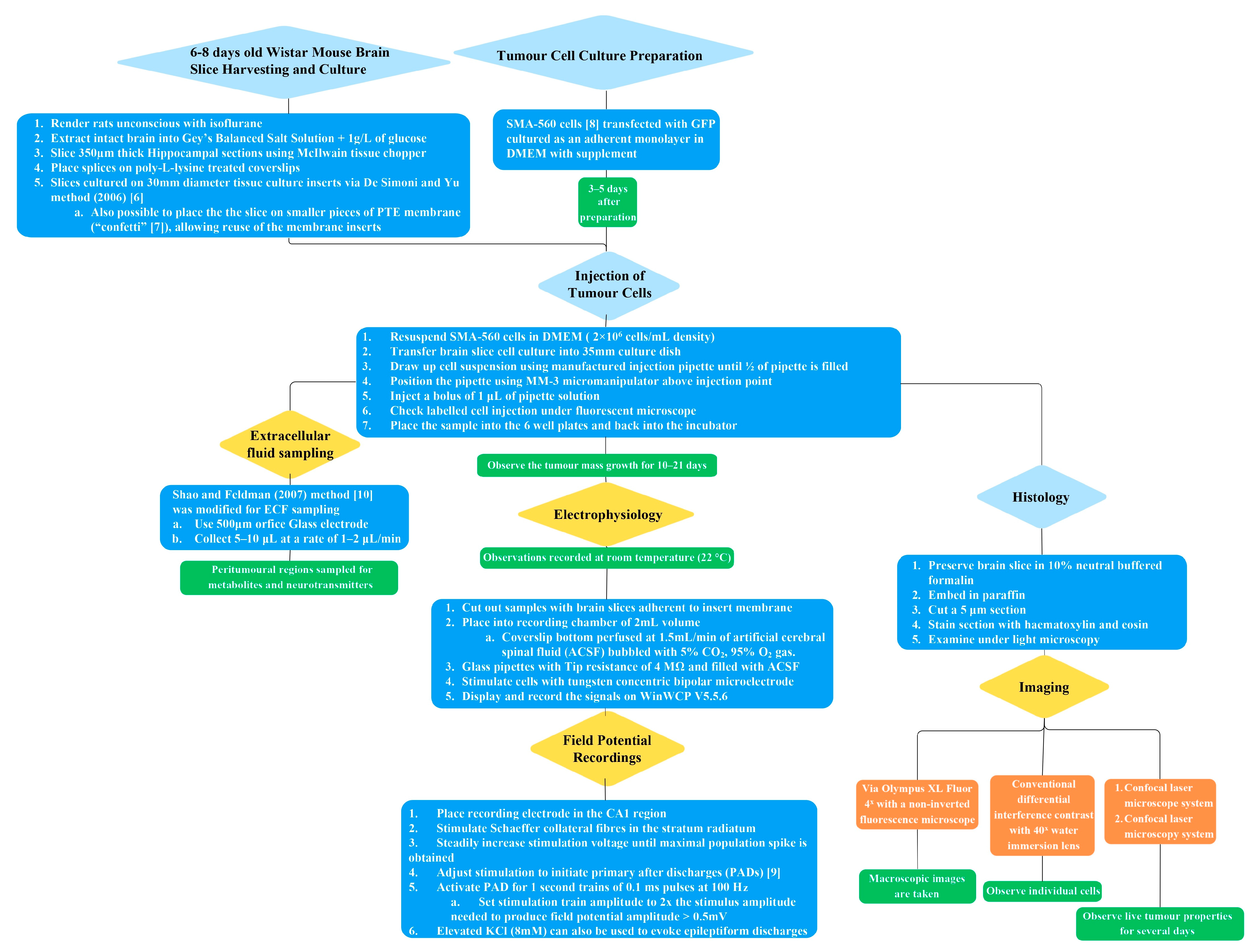Brainsci 13 01451 g001