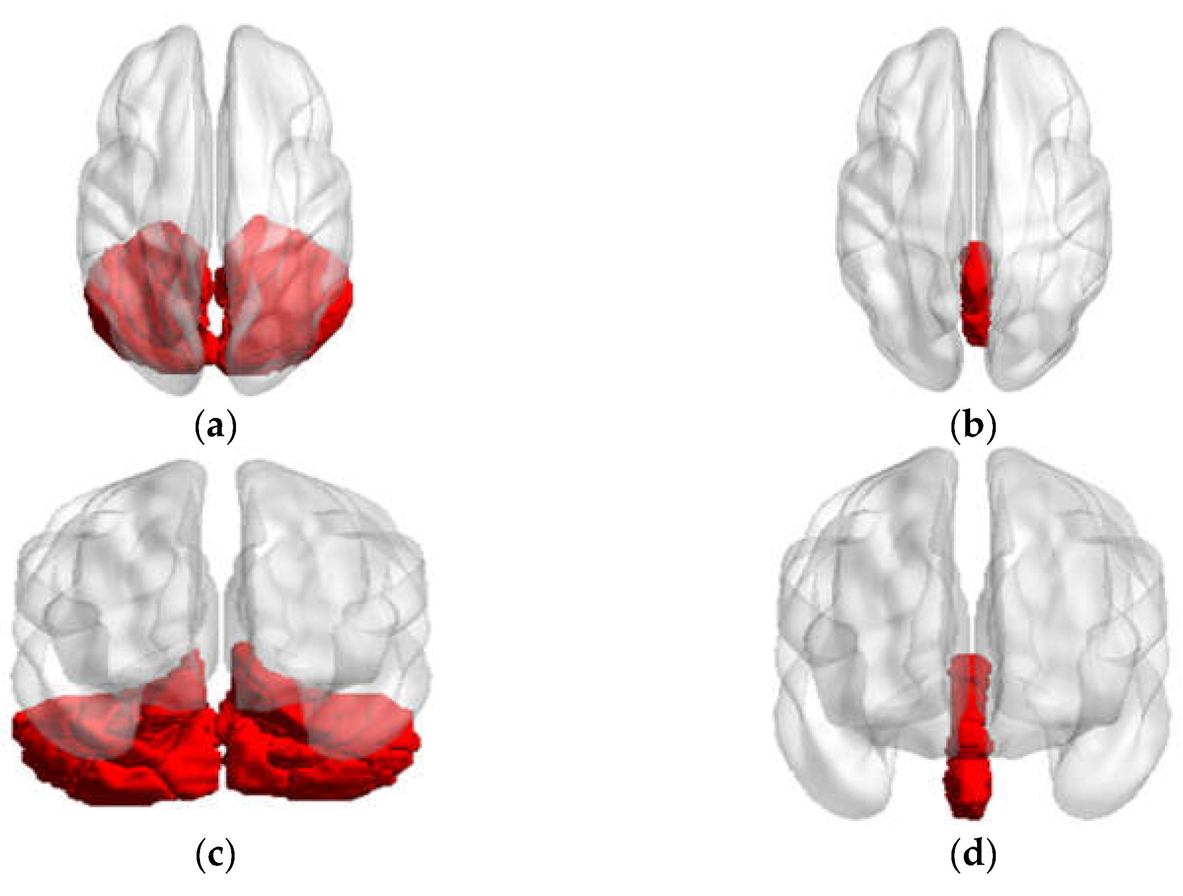 Brainsci 13 01458 g003