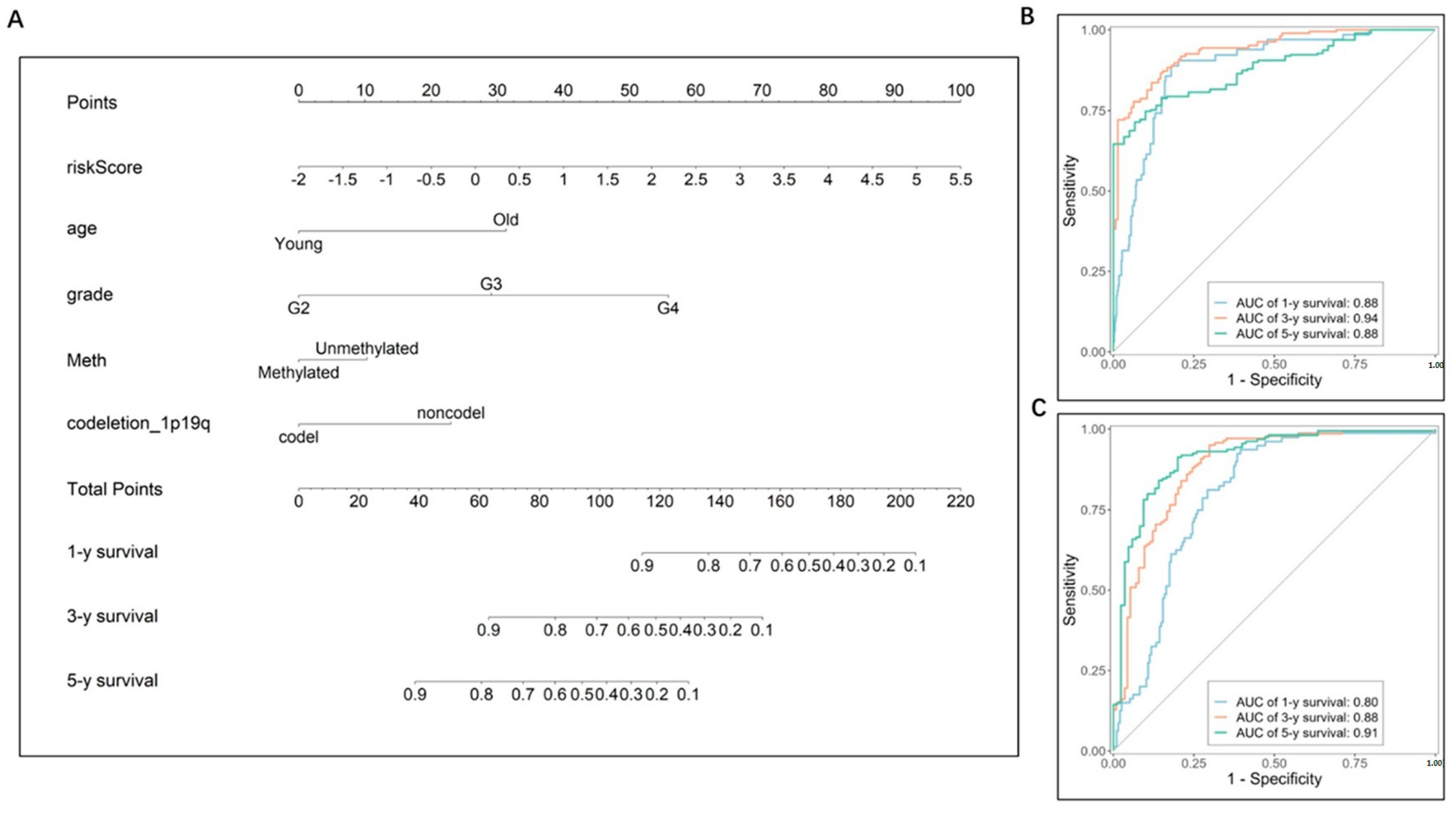Brainsci 13 01460 g008
