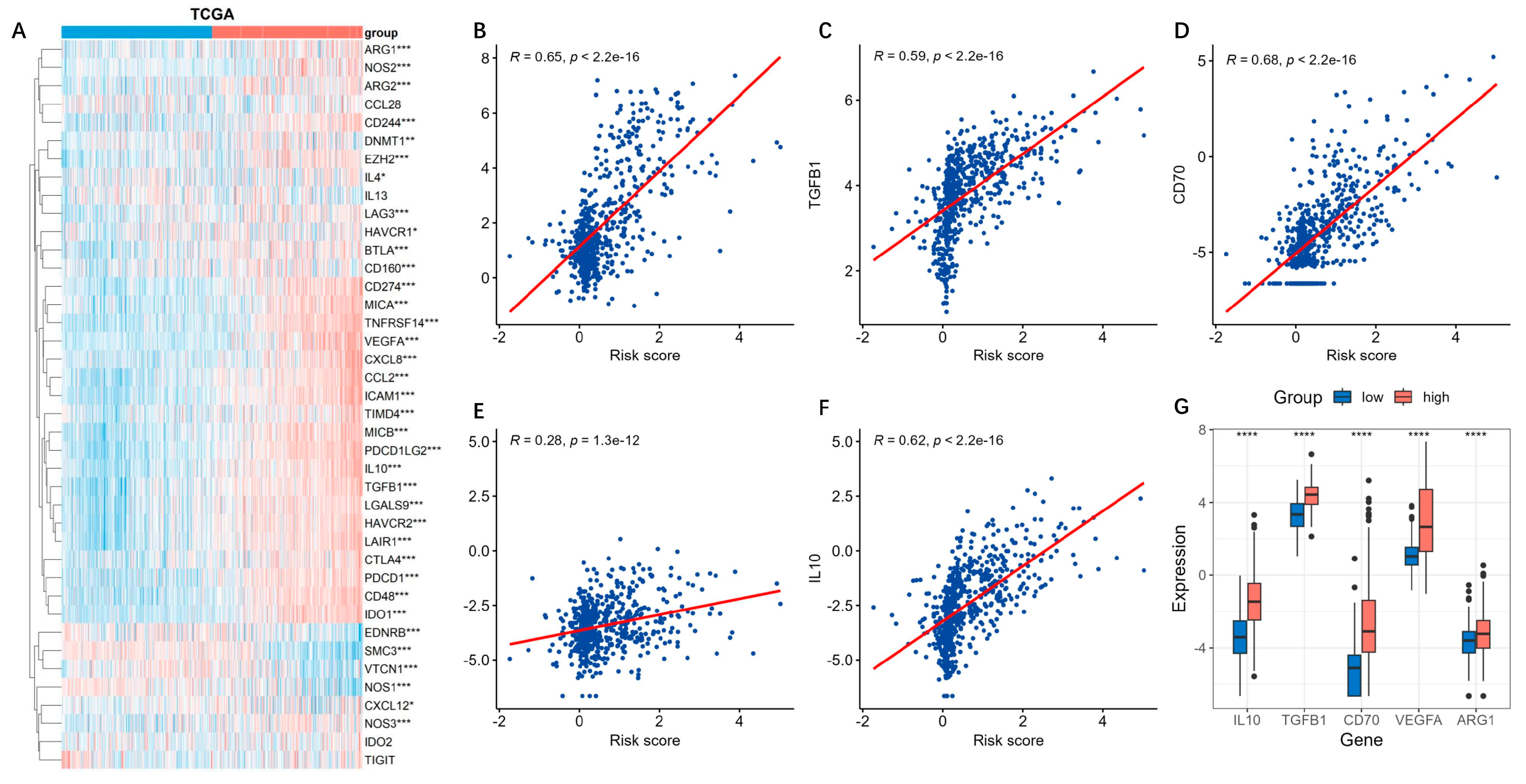 Brainsci 13 01460 g009