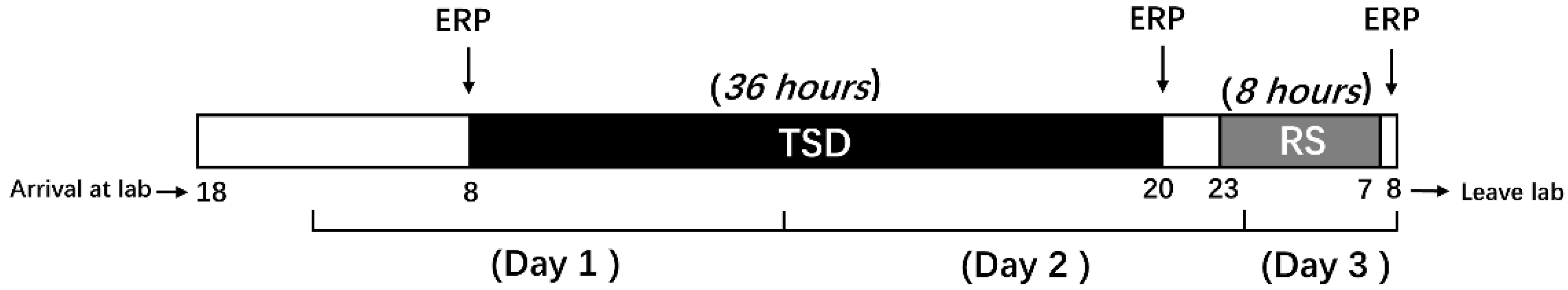Brainsci 13 01470 g002 Brainsci 13 01470 g002