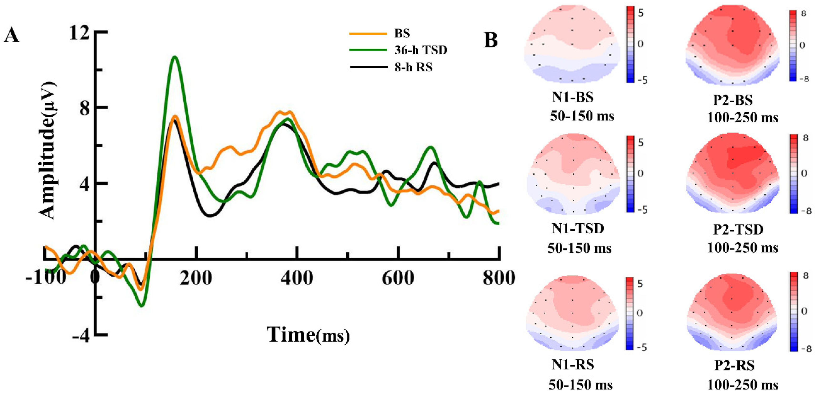 Brainsci 13 01470 g004 Brainsci 13 01470 g004