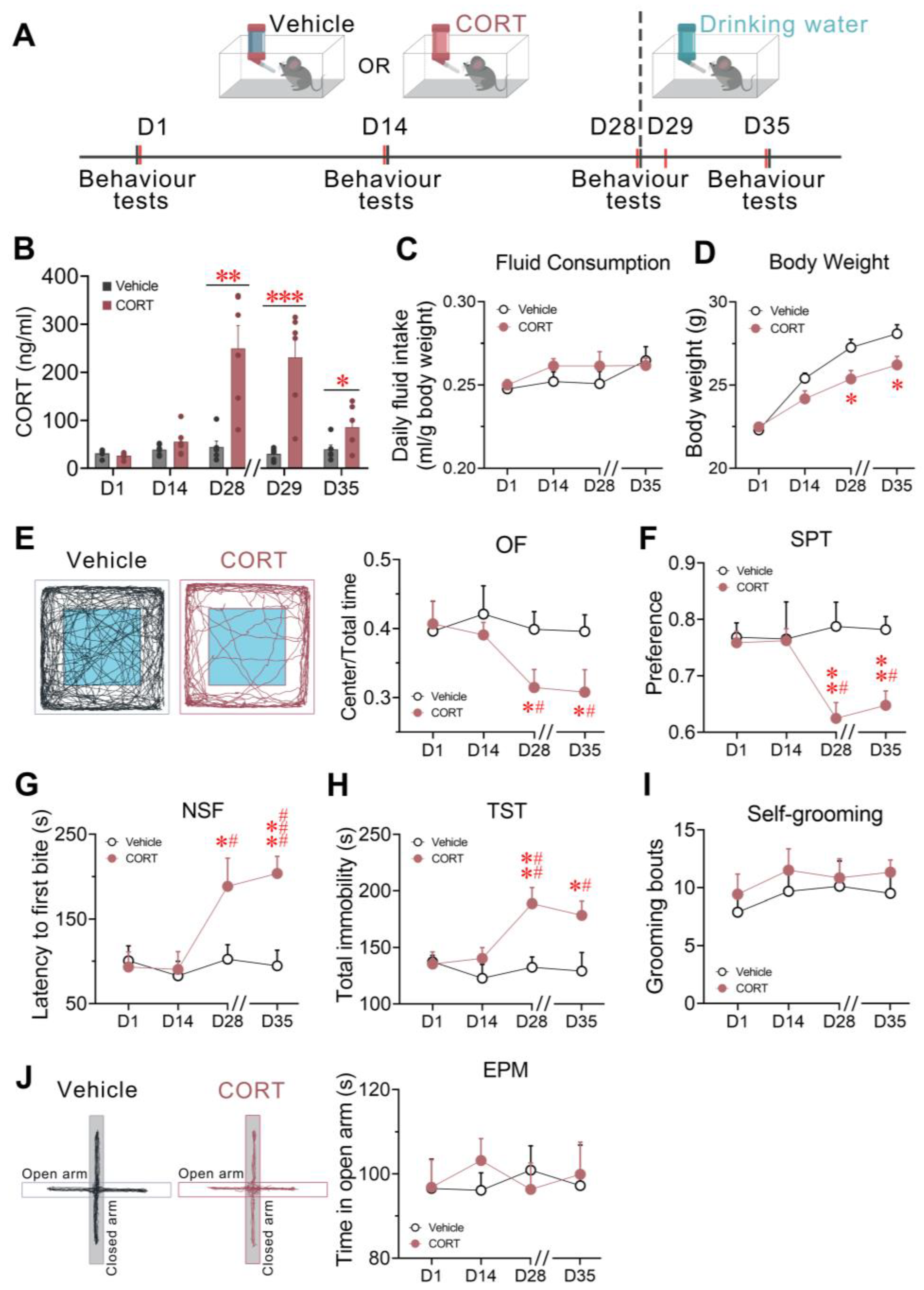 Brainsci 13 01472 g002