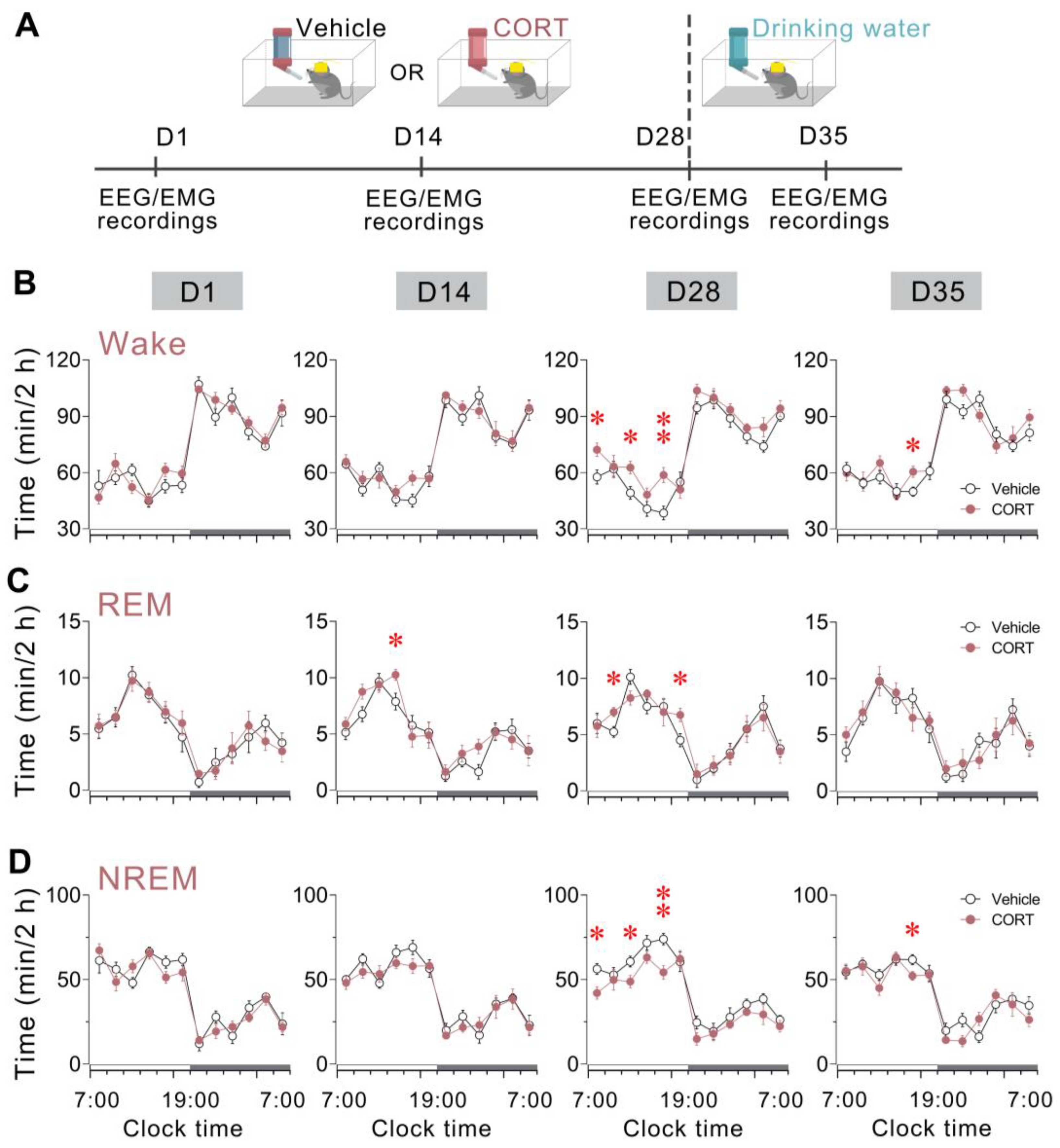 Brainsci 13 01472 g003