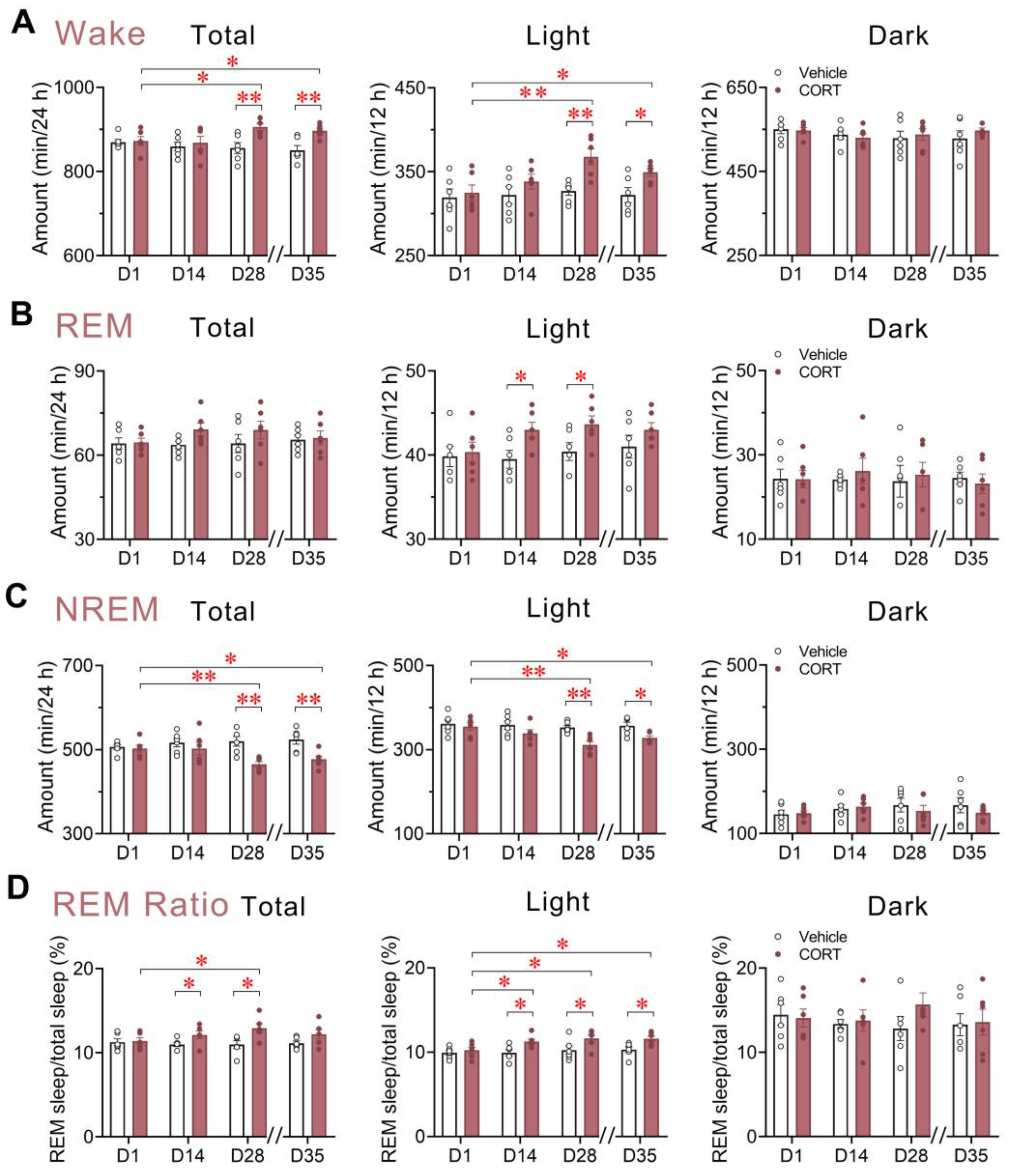 Brainsci 13 01472 g004