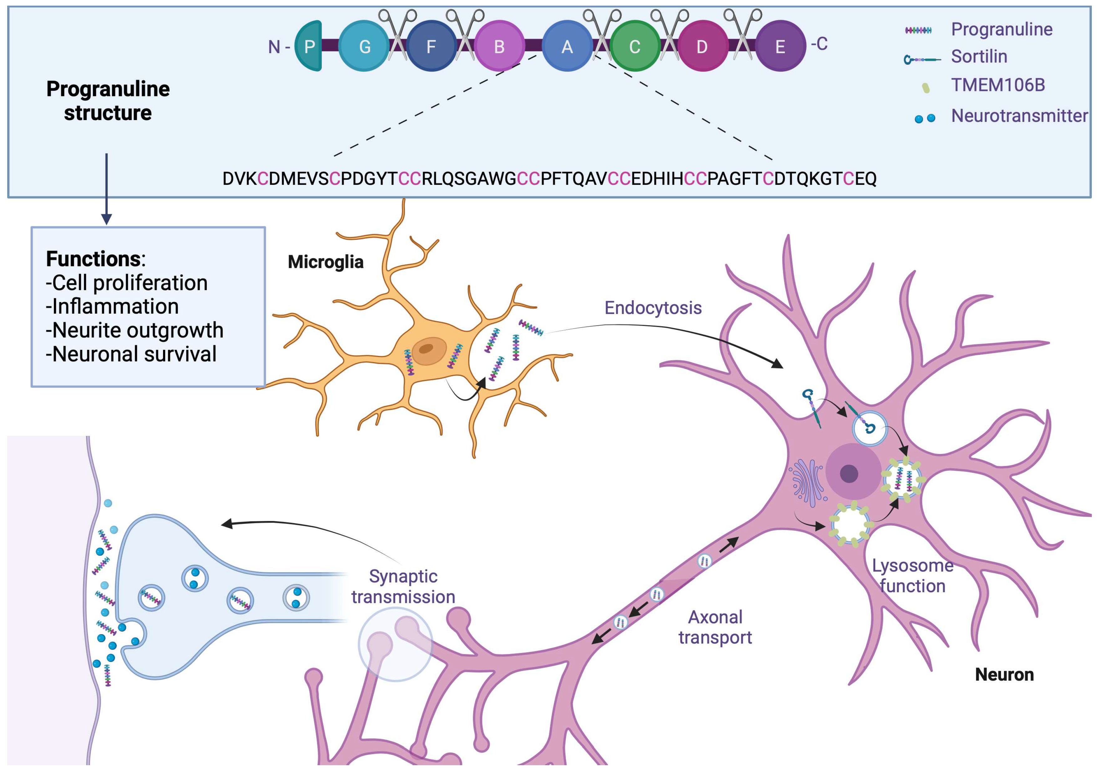 Brainsci 13 01474 g005