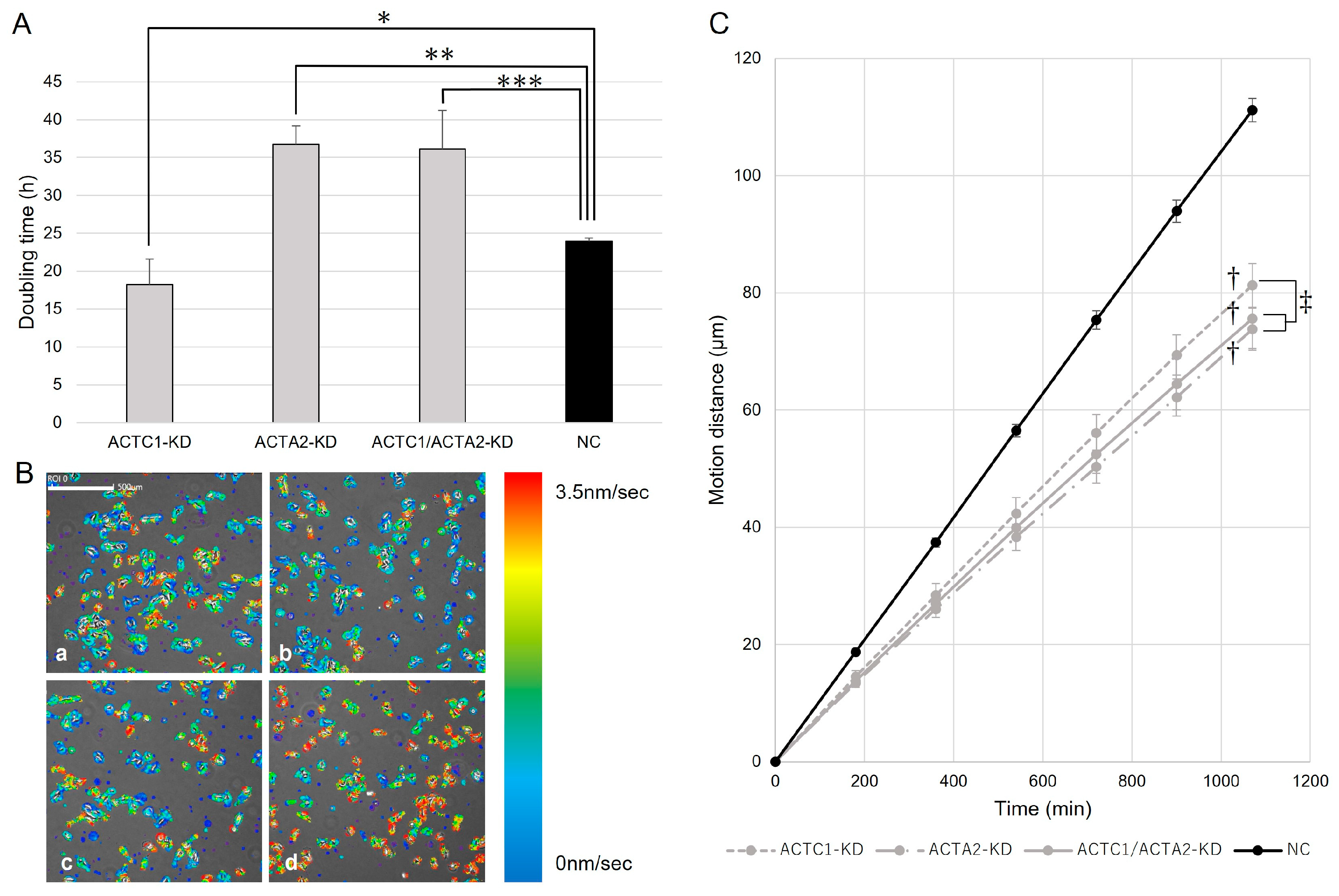 Brainsci 13 01477 g002 Brainsci 13 01477 g002